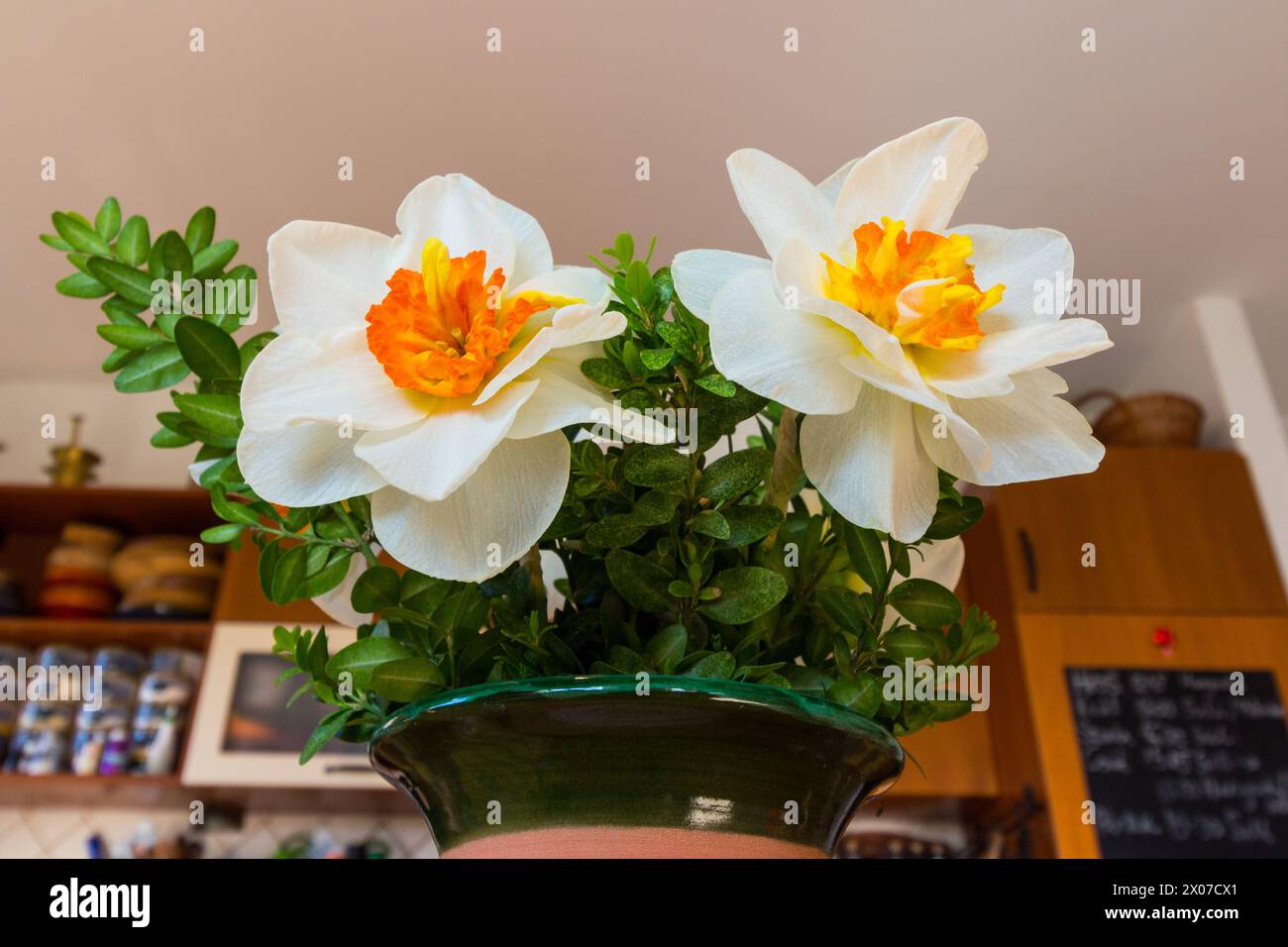 Weiße gelbe Doppel-Narzissen (Narcissus), in Vase im Innenbereich Stockfoto