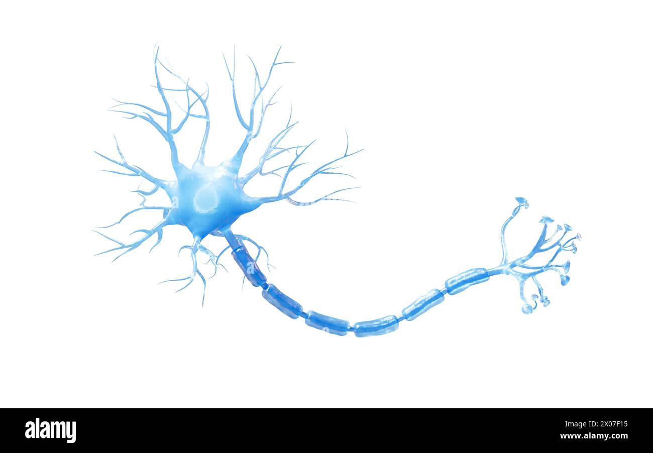 Isolierte biologische Nervenzelle, 3D-Rendering. 3D-Abbildung. Stockfoto