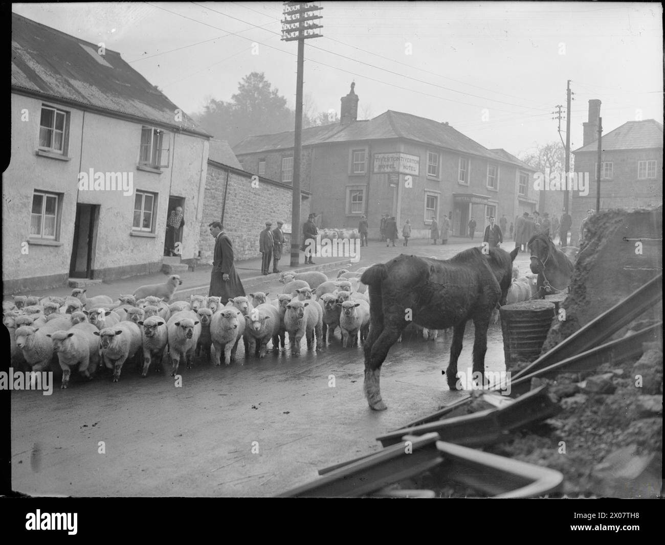 BAMPTON MESSE: VERKAUF VON PONY, SCHAFEN UND RINDERN IM DORF BAMPTON, DEVON, ENGLAND, Großbritannien, OKTOBER 1943 - am Messetag sind die Straßen von Bampton mit Schafen und Ponys gefüllt, die zu den Verkäufen gelangen. Im Hintergrund ist das Tiverton Hotel an der Straßenecke zu sehen, wo mehrere Fußgänger im Nieseln herumschleifen und auf den Start des Verkaufs warten. Als in den 1800er Jahren der Verkauf von Pony in Bampton begann, wurden sie von Stallungen in einem Obstgarten hinter dem Tiverton Hotel aus betrieben Stockfoto