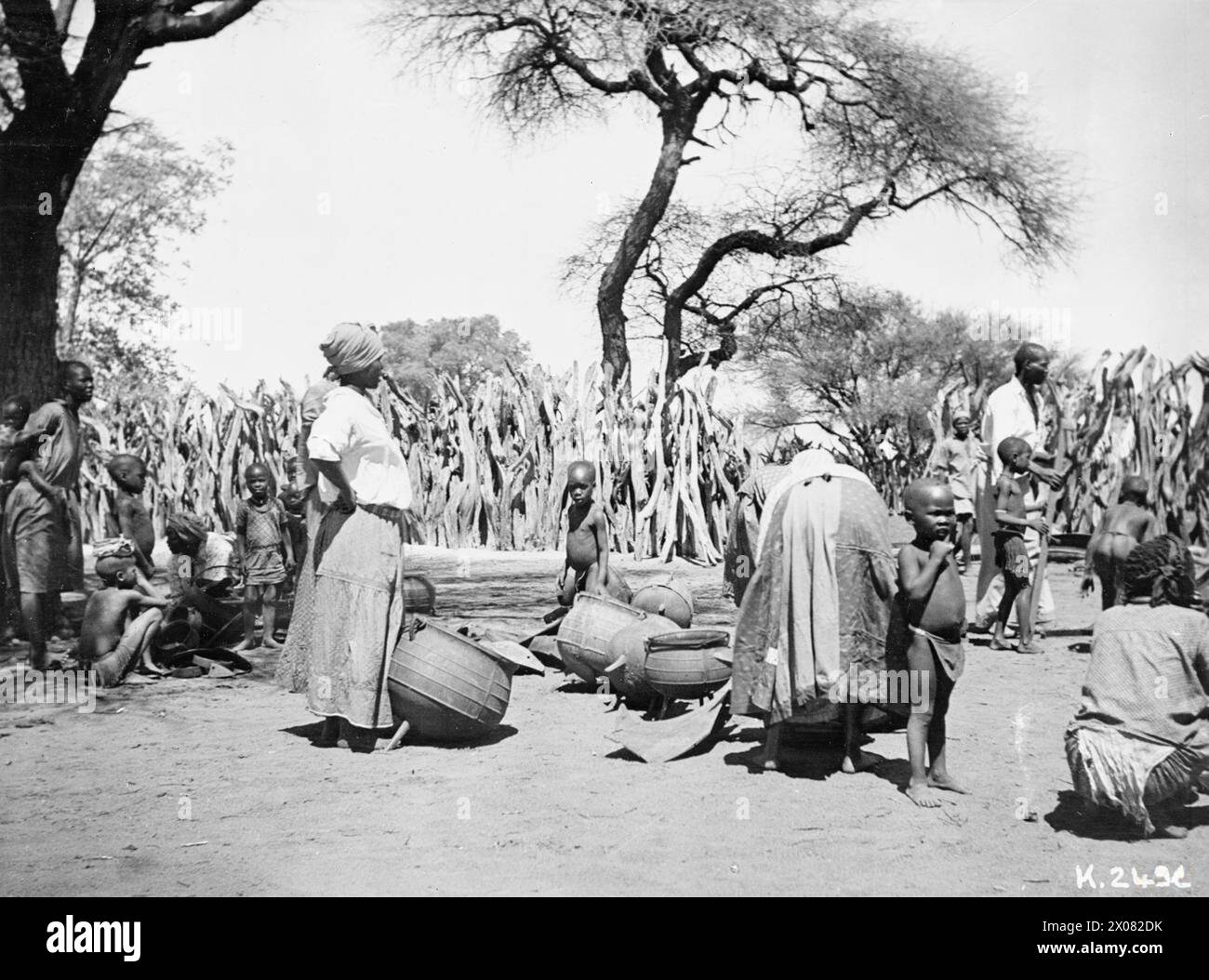 PFLUGSCHAREN ZU SCHWERTERN: AFRIKANISCHE STAMMESLEUTE GEBEN EISEN FÜR WAFFEN, SÜDAFRIKA, C. 1. JULI 1942 - der Schrei "jedes alte Eisen" ist jetzt in abgelegenen Regionen Südafrikas ZU hören, wo Stammesleute aus Bechuanaland, Basutoland und Swasiland ihre Dörfer nach Schrott durchwühlen und Töpfe gaben; Pfannen und die traditionellen Pflugscharen als Reaktion auf die Bergungsaktion der EU-Regierung. Das Bild zeigt: Bergungsarbeiter eines Bechuana-Stammes, die beim Sammeln von Eisenschrott helfen Stockfoto