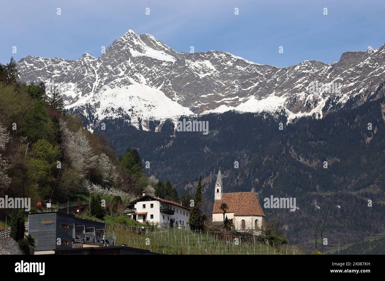 Marling, Südtirol, Italien 07. April 2024: Ein Frühlingstag bei Marling, hier am Marlinger Waalweg bei Meran. Hier der Blick vom Wallweg auf das Kirchlein, St.Felix und dem mächtigen Tschigat Texelgruppe im Hintergrund, Tourismus, wandern, spazieren, Ausblick, Panorama, wärme *** Marling, Südtirol, Italien 07 April 2024 Ein Frühlingstag bei Marling, hier auf dem Marlinger Waalweg bei Meran hier der Blick vom Wallweg auf die kleine Kirche, St Felix und die mächtige Tschigat Texel Gruppe im Hintergrund, Tourismus, Wandern, Wandern, Aussicht, Panorama, Wärme Stockfoto