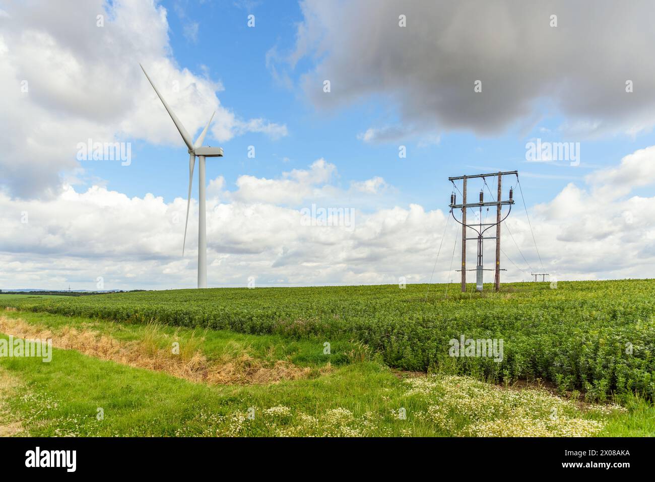 Windkraftanlage und Stromleitungen auf einem Kulturfeld auf dem Land an einem teilweise bewölkten Sommertag Stockfoto