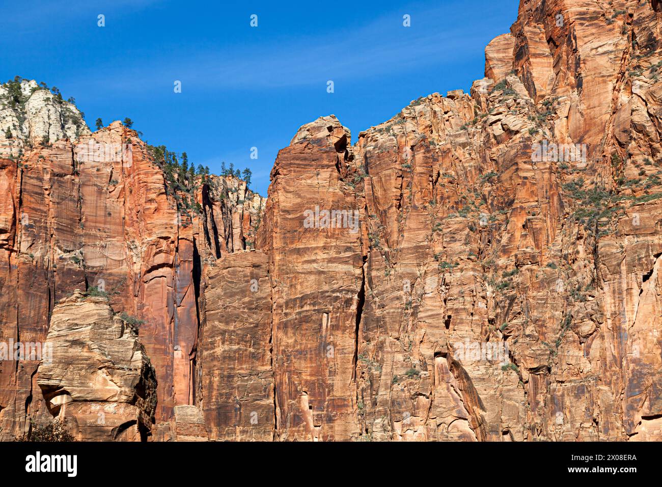 Der Tempel von Sinawava im Zion National Park in Utah, der Beginn der flussaufwärts gelegenen Wanderung durch den Virgin River und die Narrows Wanderung. Stockfoto