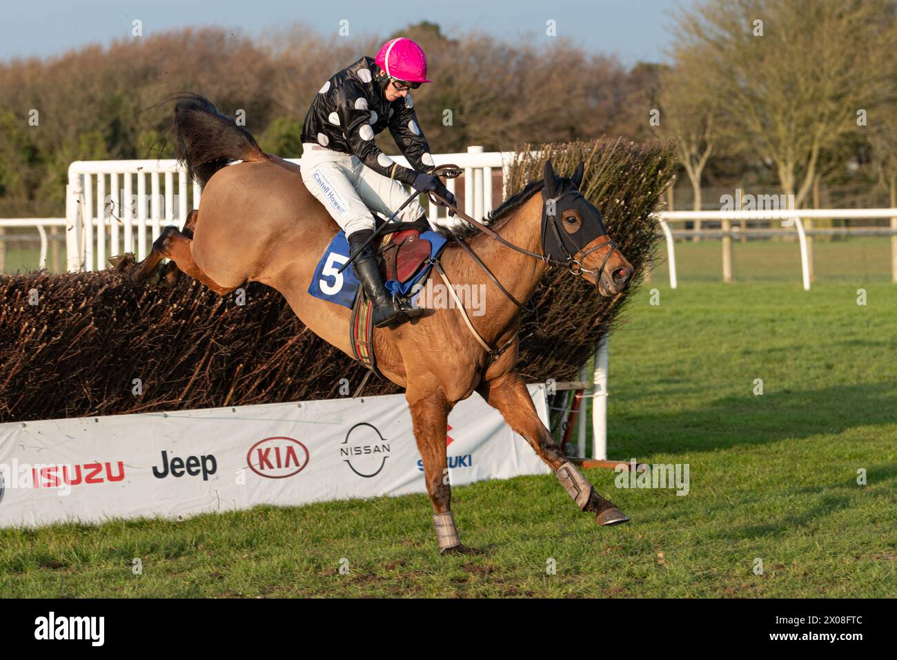 Viertes Rennen in Wincanton, 26. Januar 2022, Steeplechase Stockfoto