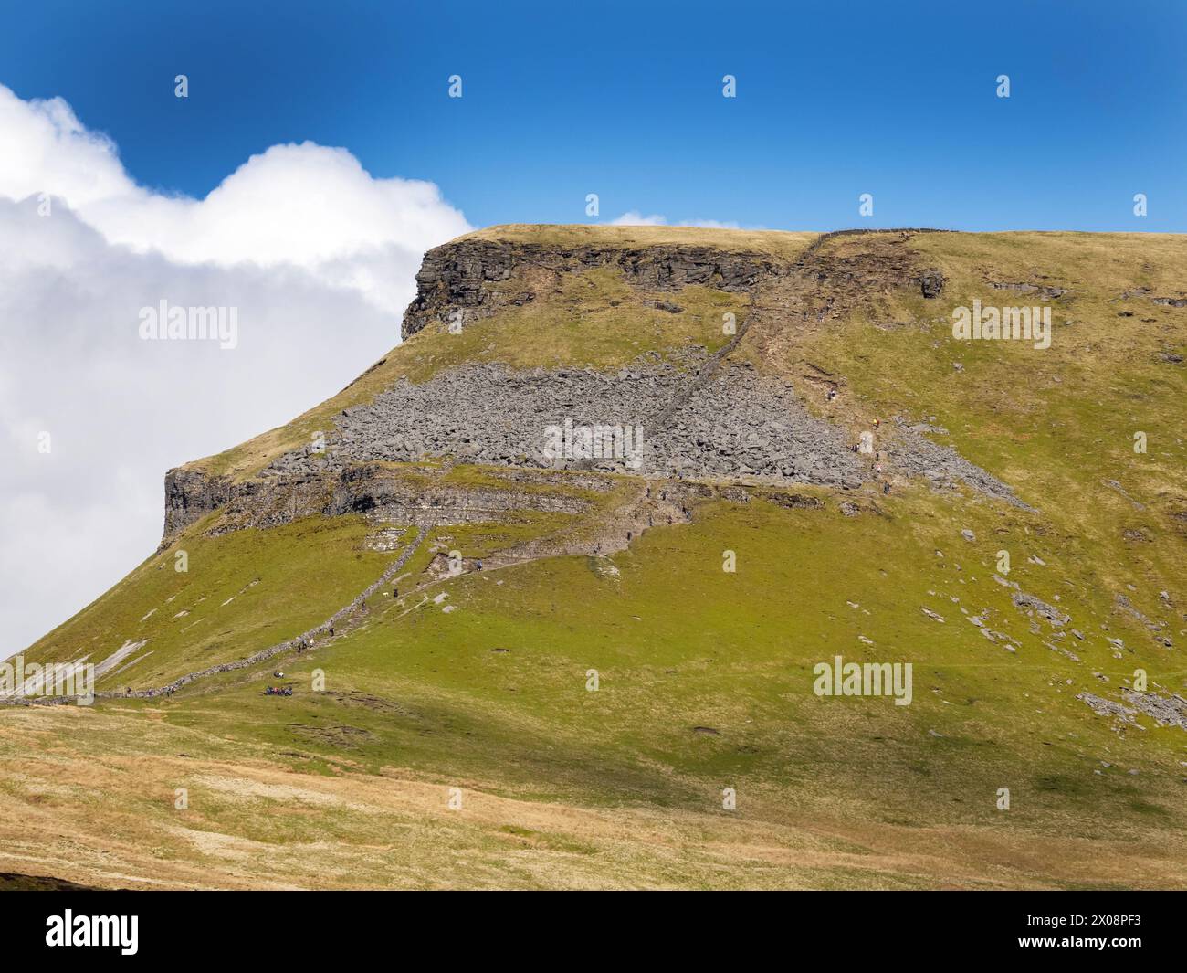 Wanderer auf Penyghent in den Yorkshire Dales an einem geschäftigen Osterwochenende, Großbritannien. Stockfoto