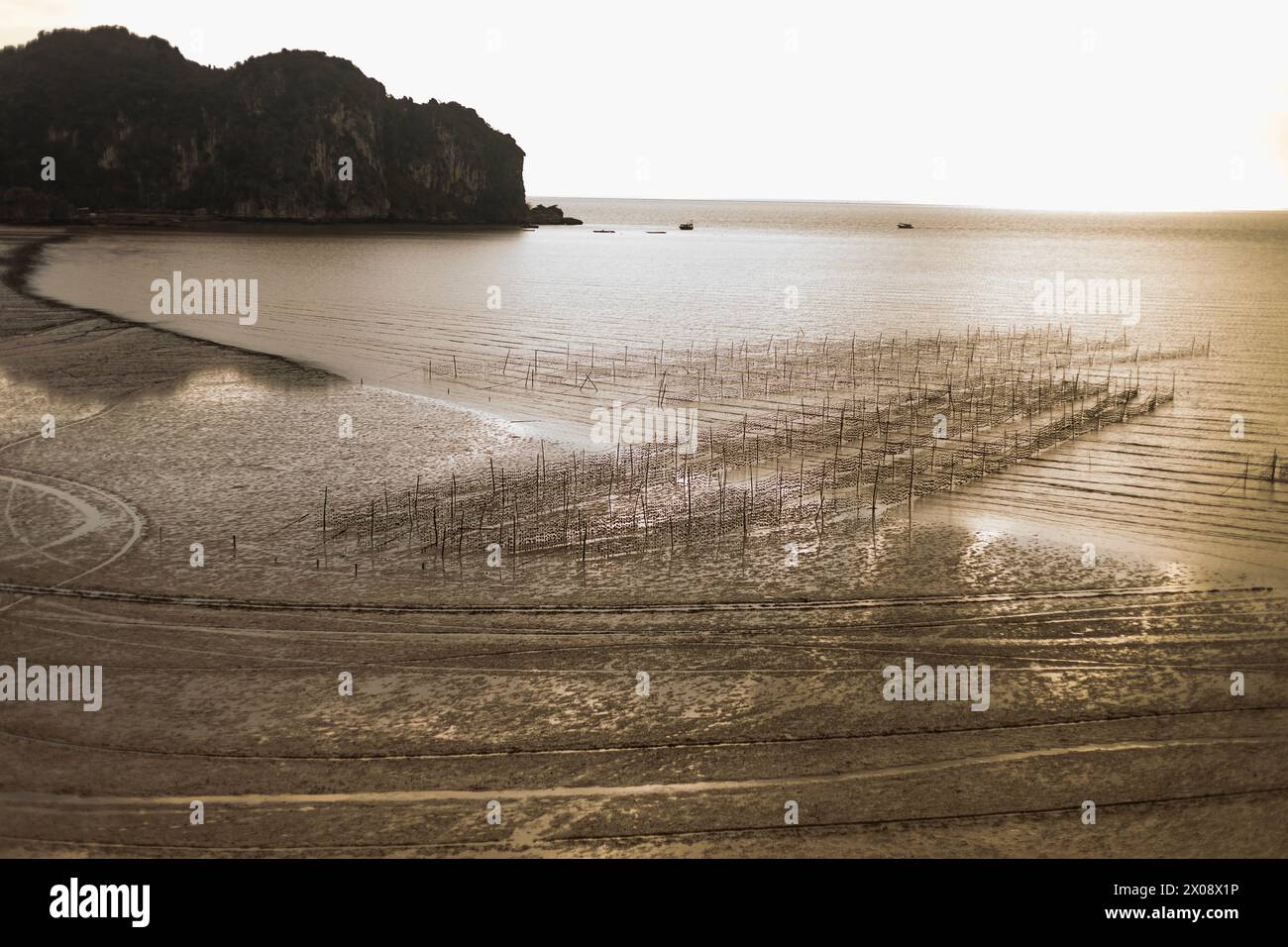 Sepia-farbenes Bild, das die ruhige Schönheit einer traditionellen Fischfarm entlang der Küste Vietnams bei Sonnenaufgang mit ruhigem Wasser und gemustertem Sand einfängt. Stockfoto