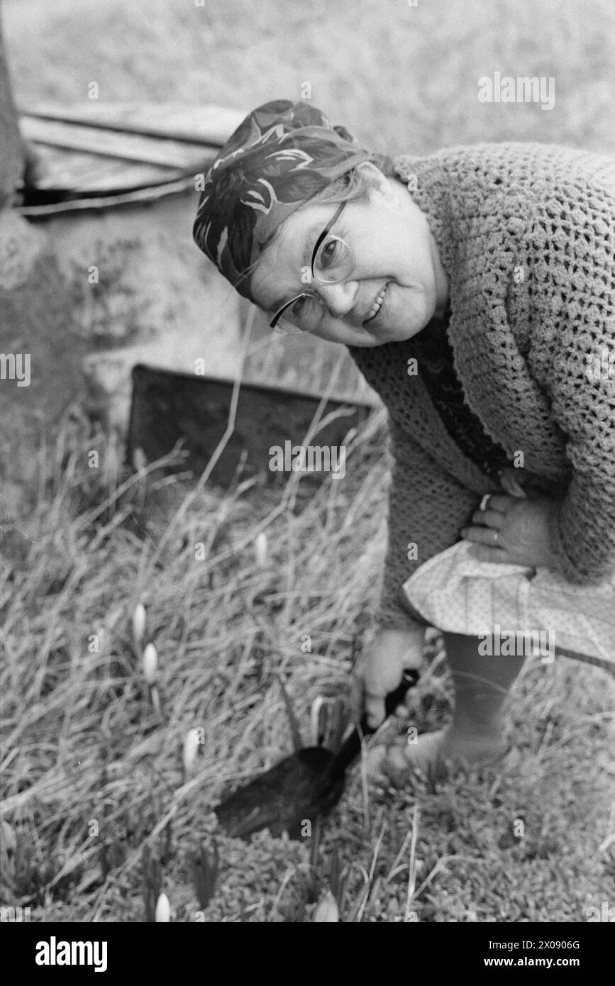 Aktuell 16 - 6 - 1973: Hundert Häuser und ein Mann als vor 20 Jahren war Bjørnsund eine lebendige Gemeinde. Heute ist nur noch eine Person in diesem Fischerdorf übrig. Jetzt wird Bjørnstad ein Touristenziel. Die Leute sind begierig, hier draußen in dieser Einsamkeit ein Haus zu kaufen. Borghild Gornitchin ist mit Bjørnsund verbunden. Sie kehrt jedes Jahr zurück, lange vor den Zugvögeln. - Wenn ich mich für immer bewegen würde, wäre die Sehnsucht nach diesem Ort zu schwer, um sie zu ertragen. Foto: Sverre A. Børretzen / aktuell / NTB ***FOTO NICHT BEARBEITET*** Stockfoto