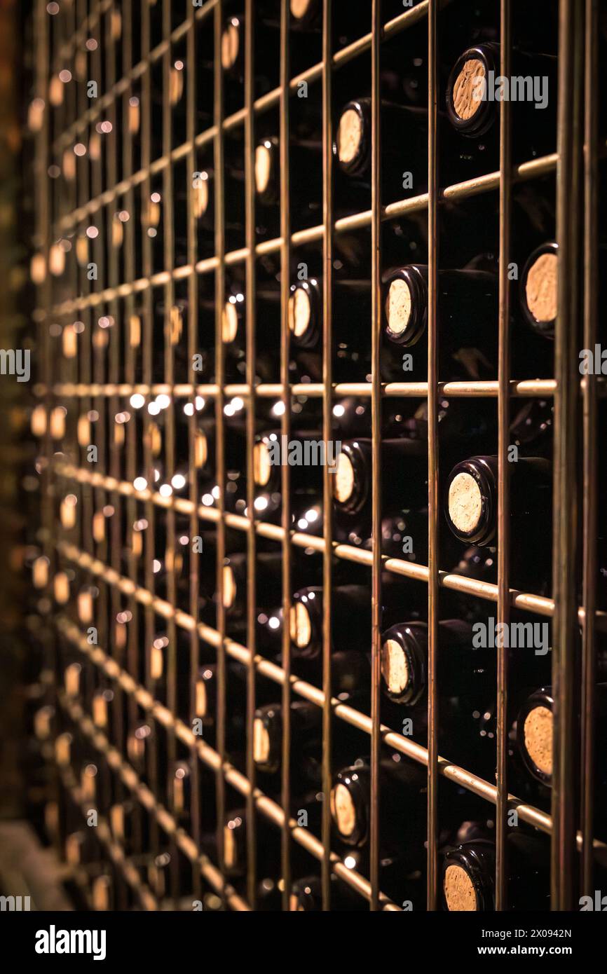 Weinflaschen gefüllt mit dem besten Wein werden im Keller mit Korkstopfen arrangiert, die darauf warten, auf den Markt gebracht zu werden Stockfoto