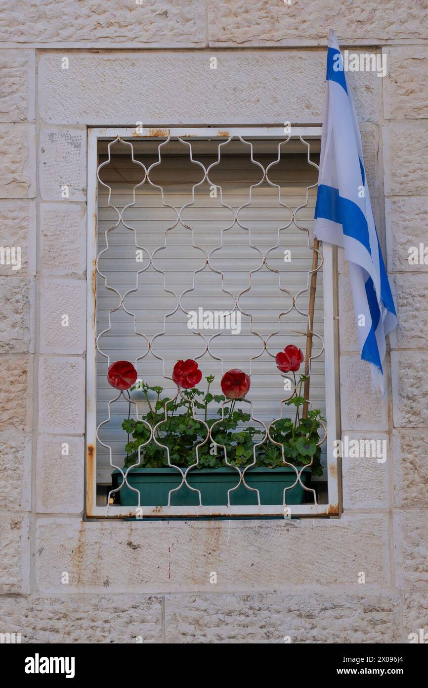 Jerusalem, Israel - 26. Februar 2024: Eine Nationalflagge und rote Anemonen in einem israelischen Fenster zum Gedenken an den Terroranschlag vom 7. oktober 2023 Stockfoto