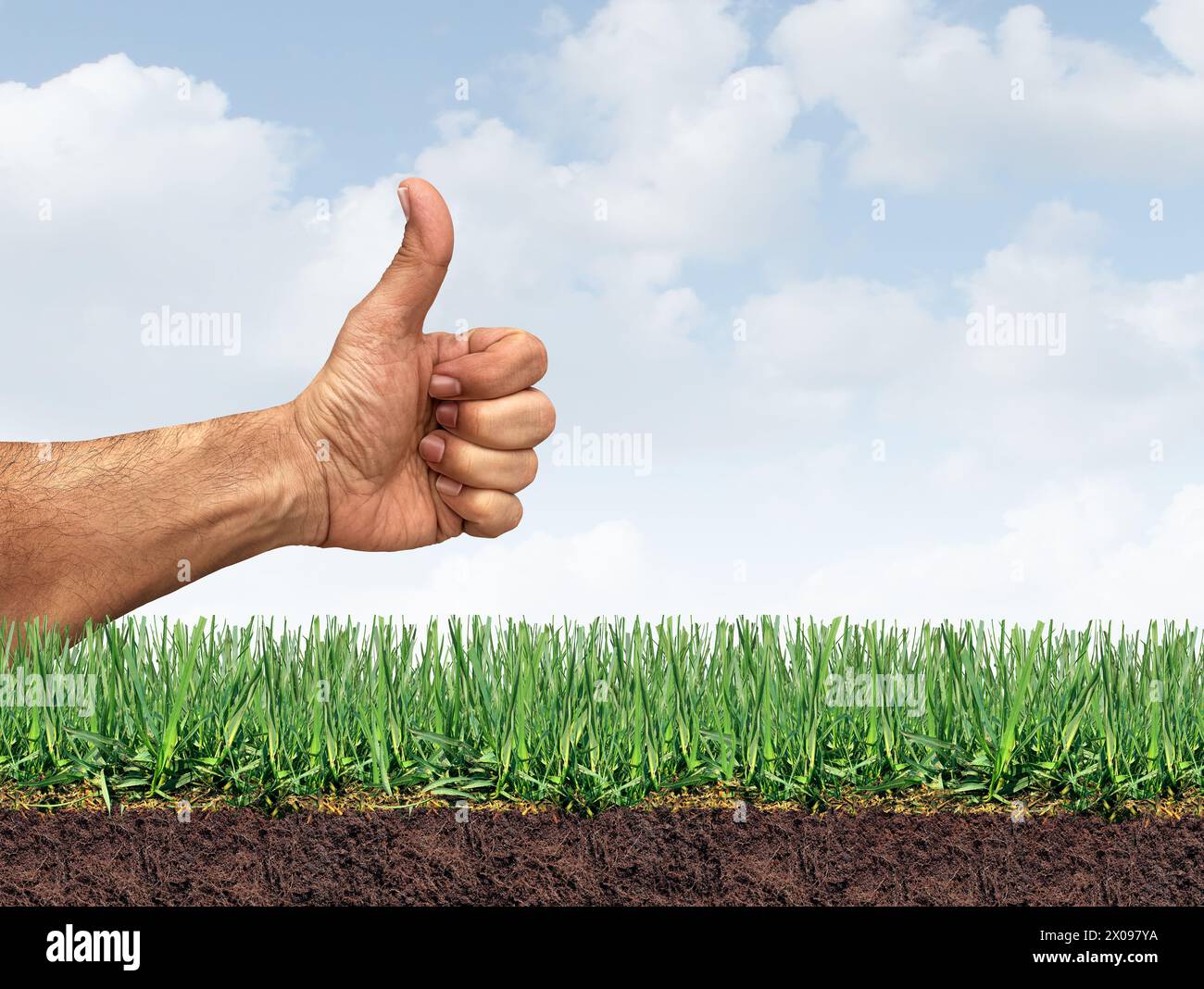 Perfekter Rasen und gesundes Gras als Rasenpflegesymbol für die Unkrautbekämpfung und Düngung und Belüftung von Rasen als Landschaftsgärtner, der gute gar genehmigt Stockfoto