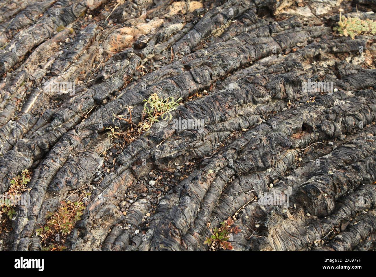 Lavafarbe entlang des North Crater Flow Trail im Craters of the Moon National Monument and Preserve, Idaho Stockfoto