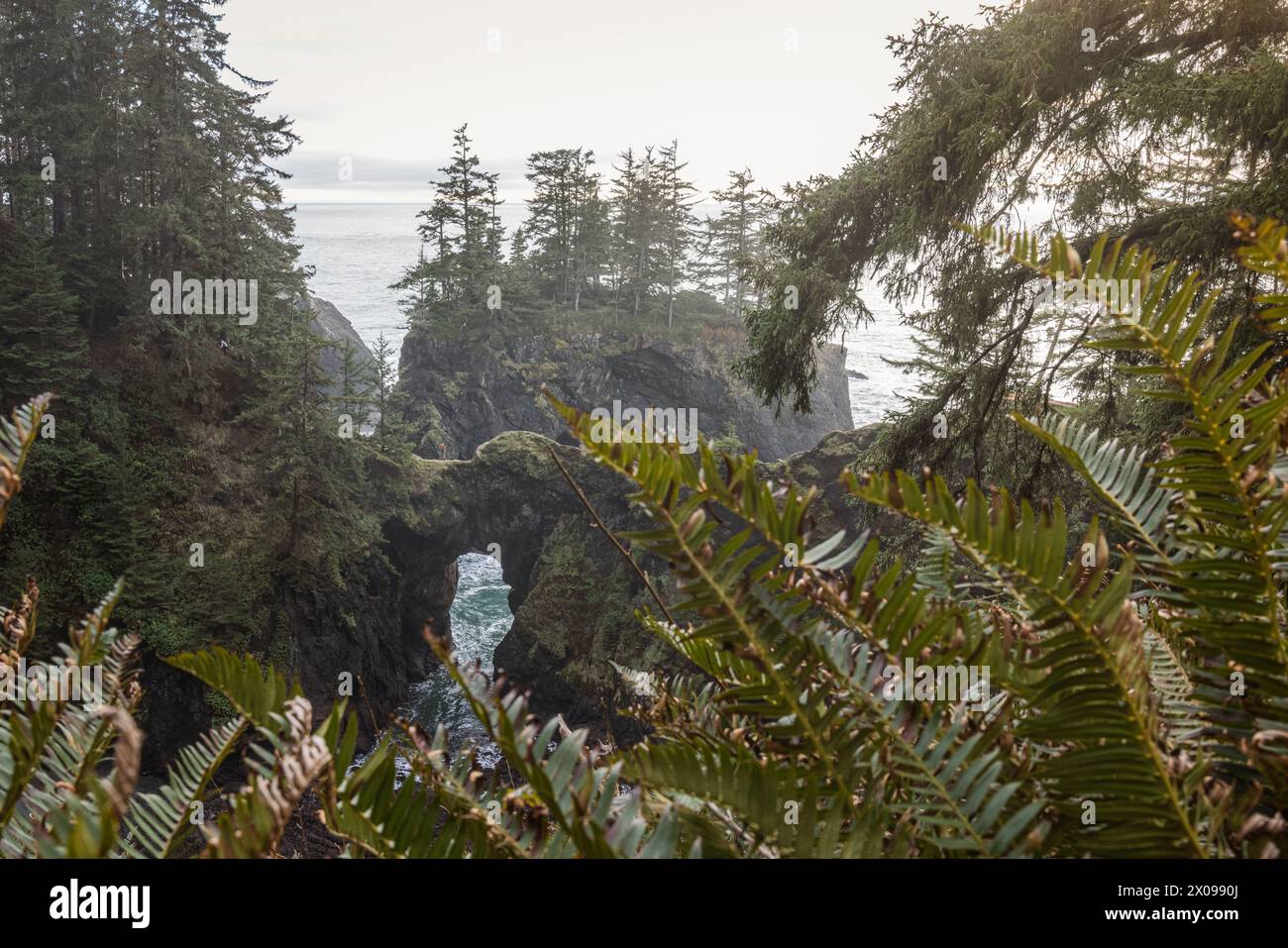 Natürliche Brücken an der südlichen OregonCoast. Teil des Samuel H Boardman Scenic Corridor. Stockfoto