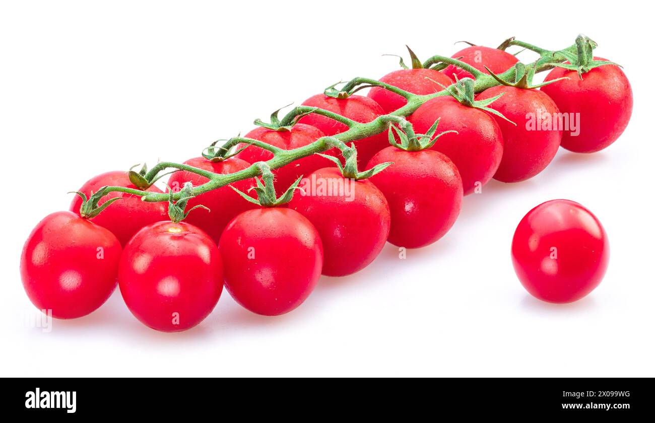 Reife Kirschtomaten auf Zweig isoliert auf weißem Hintergrund. Weltweit beliebtes Produkt als Zutat in vielen mediterranen Gerichten. Stockfoto