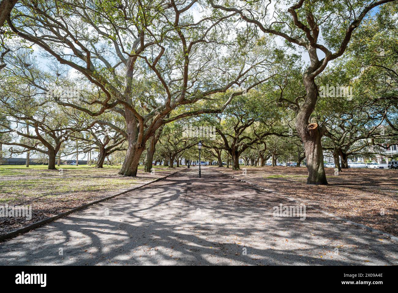 White Point Garden at the Battery in Charleston South Carolina mit Southern Live Oak Bäumen. Stockfoto