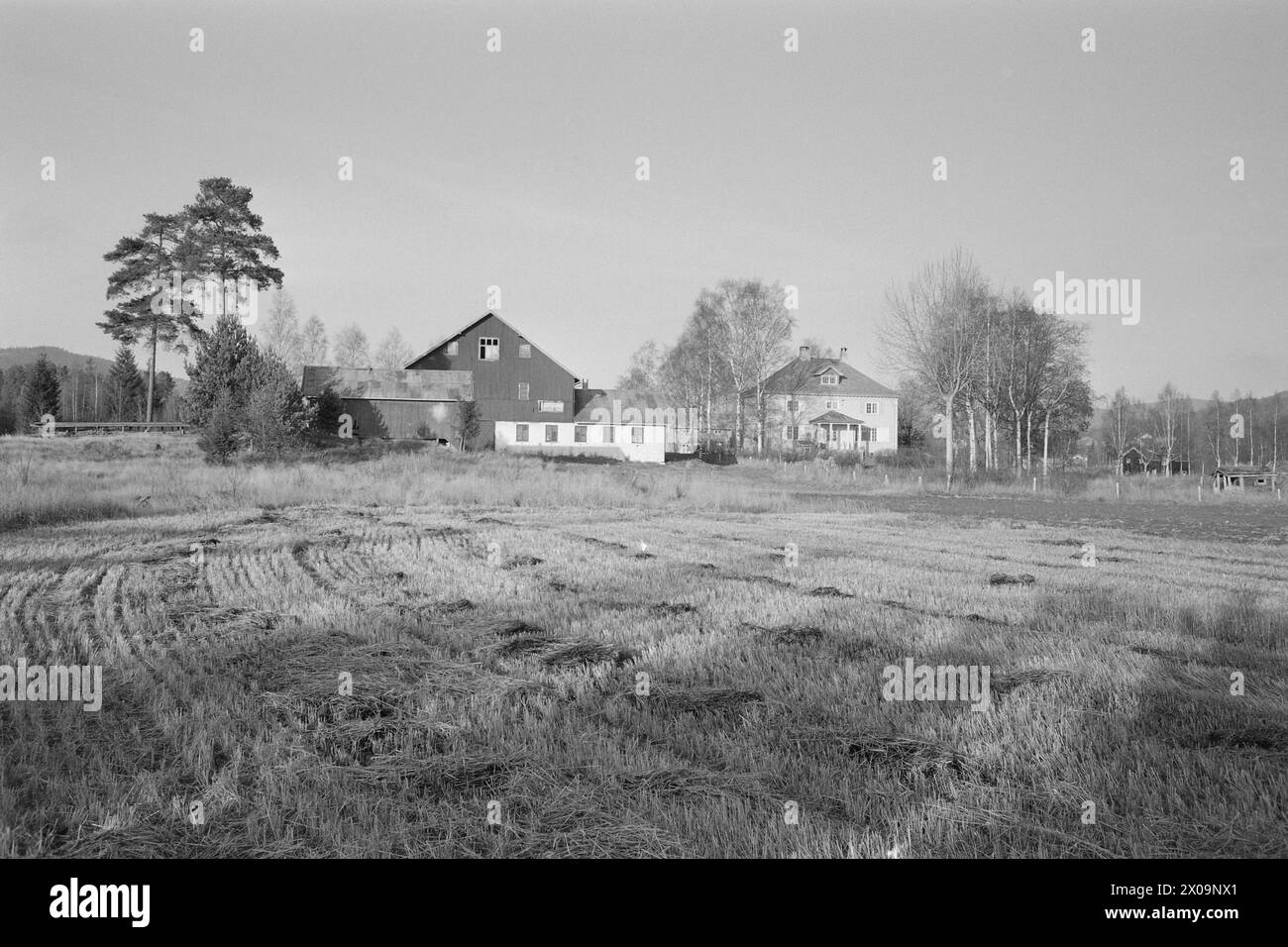 Aktuell 46-1-1973: Hans Borgen på gyngende grunnTidligere stortingsrepräsentant für Senterpartiet, Hans Borgen, har mange verv. Han er bl. a. formann i Norske Melkeprodusenters Landsforbund og i Landbrukets Sentralforbund. Nå har han blitt tvunget til å melde flytting til Nord-Odal for ikke å risikere å bryte konsesjonsvilkåret om boplikt på gården Granholt som han kjøpte i 1965. DET sås tvil om han virkelig bor på gården. Posten blir omadressert bis Fet i Akershus. Odølene ser på flyttingen til gården som en vits. De Registrerer knapt bei Hans Borgen kommer kjørende oppover bygda en Gang i uk Stockfoto