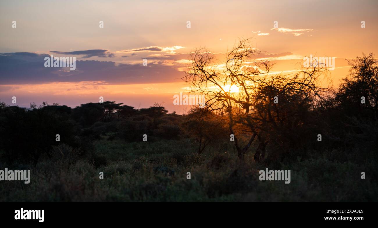 Amboseli kenia bei Sonnenuntergang im Freien Stockfoto