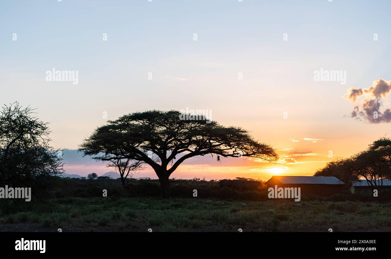 Amboseli kenia bei Sonnenuntergang im Freien Stockfoto