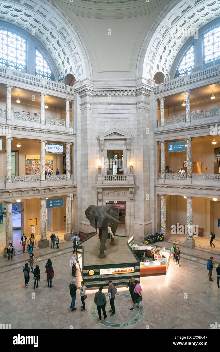 Smithsonian National Museum of Natural History, in der National Mall in Washington, D.C., USA Stockfoto