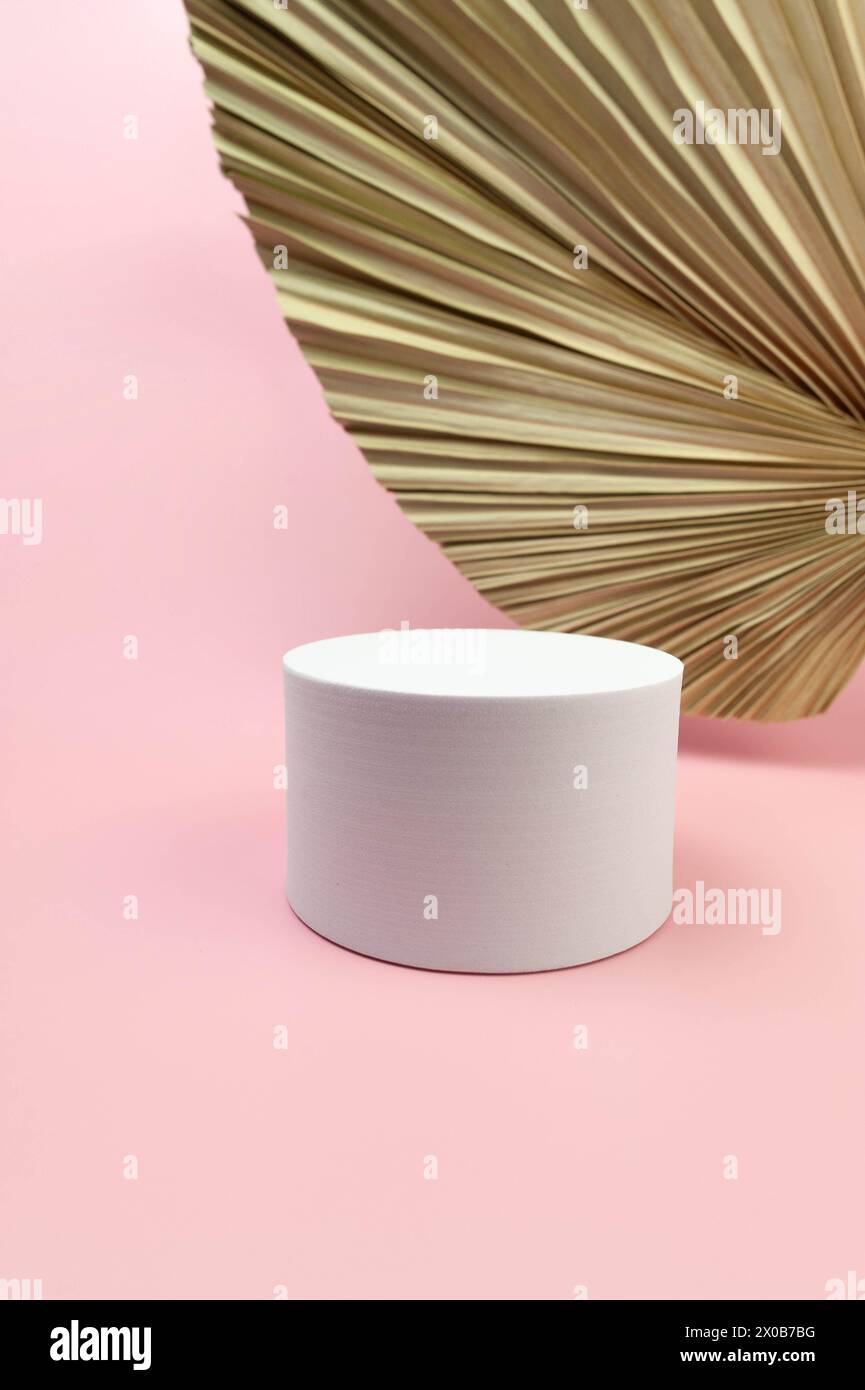 Weißes rundes Podium, getrocknete Palmblätter auf rosa Hintergrund. Geometrische abstrakte Form für die kosmetische Produktpräsentation. Kopierbereich. Stockfoto