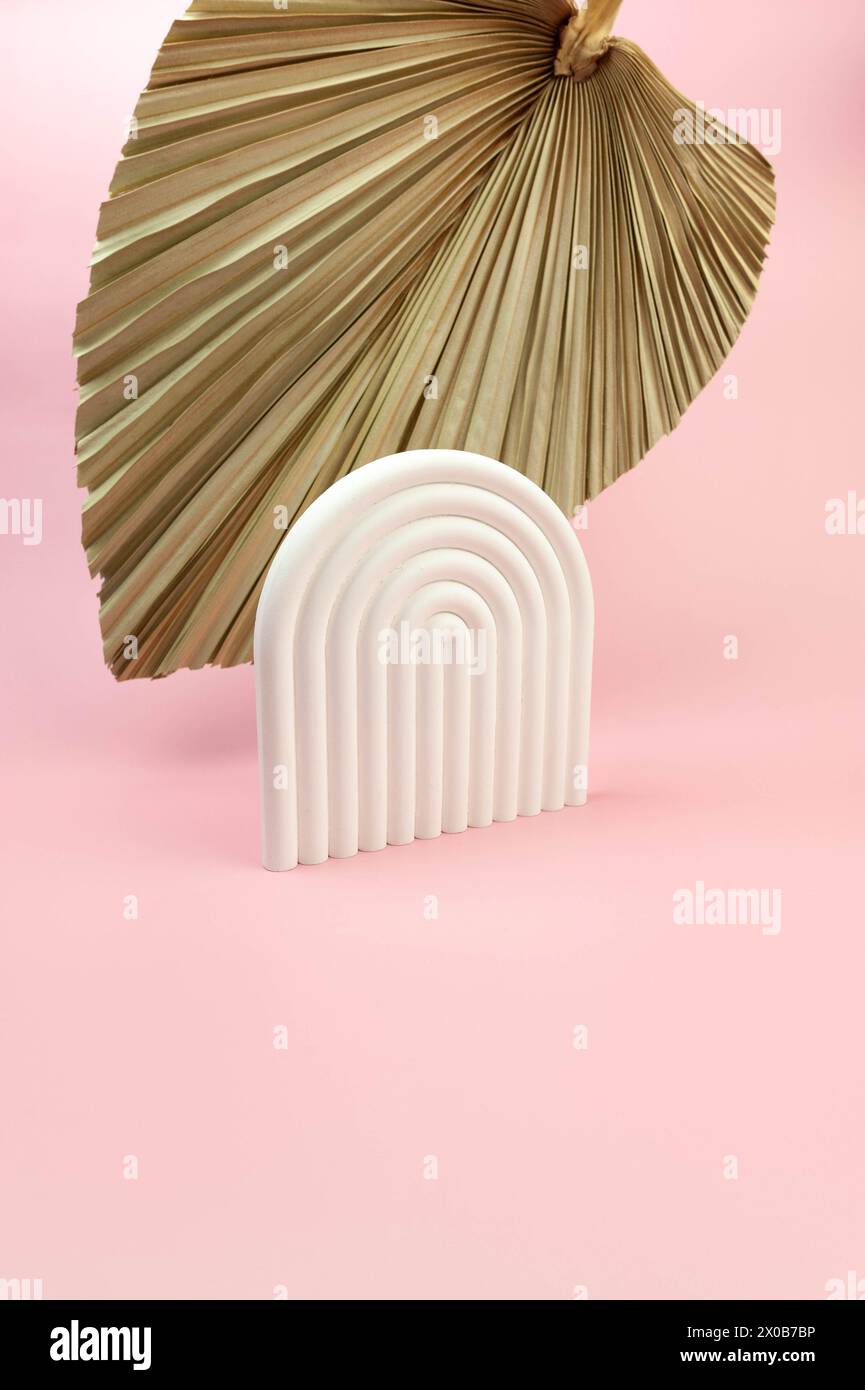 Weißes Bogenpodium, getrocknete Palmblätter auf rosa Hintergrund. Geometrische abstrakte Form für die kosmetische Produktpräsentation. Kopierbereich. Stockfoto