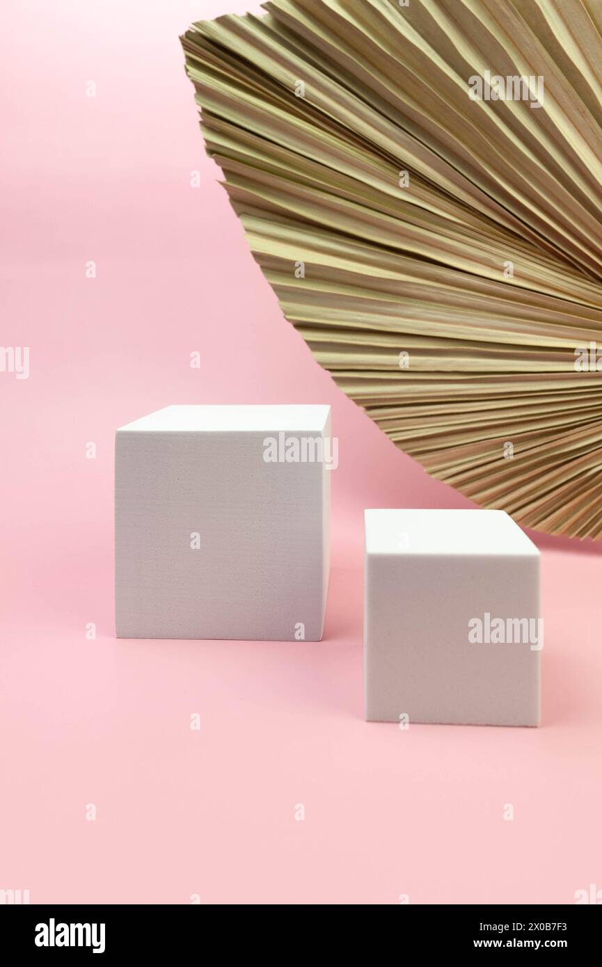 Weißes quadratisches Podium, getrocknete Palmblätter auf rosafarbenem Hintergrund. Geometrische abstrakte Formen für die kosmetische Produktpräsentation. Zwei verschiedene Größen, quadratisch. Stockfoto