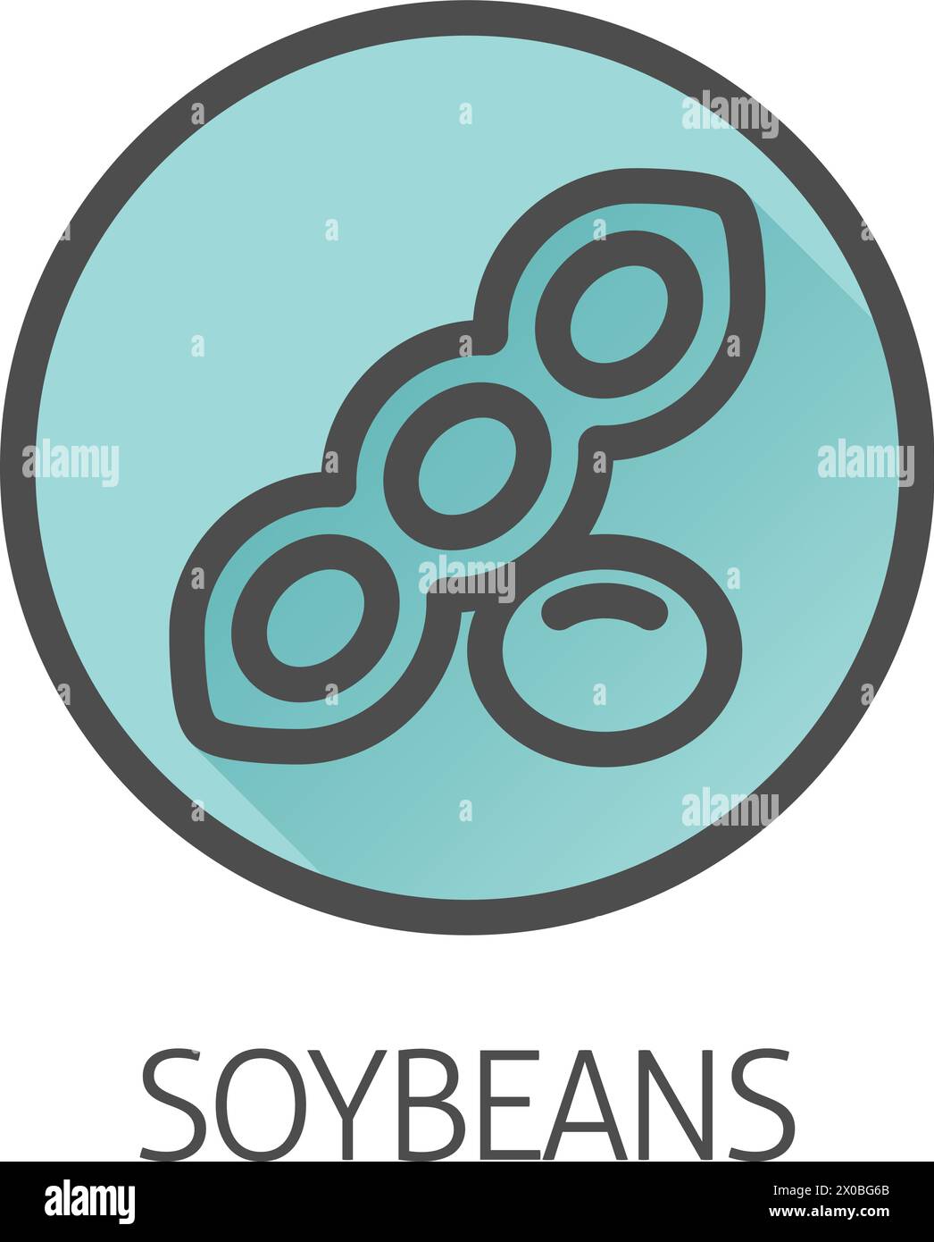 Ein Icon-Konzept für Sojabohnen-Sojabohnen-Lebensmittel-Allergen Stock Vektor