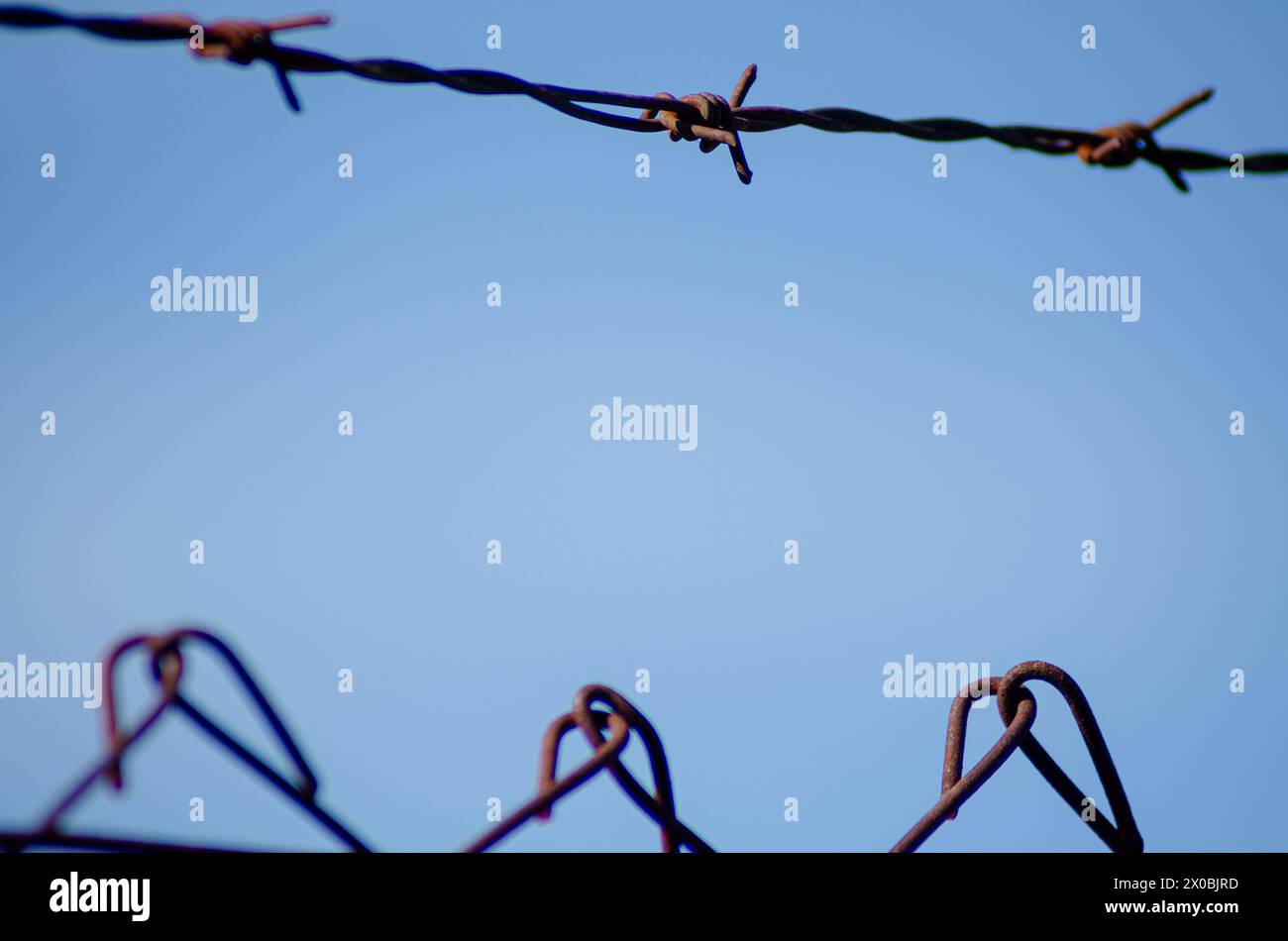 Detail des Stacheldrahtzauns, Metalldraht auf einem Hintergrund des klaren blauen Himmels, Nahaufnahme. Stockfoto