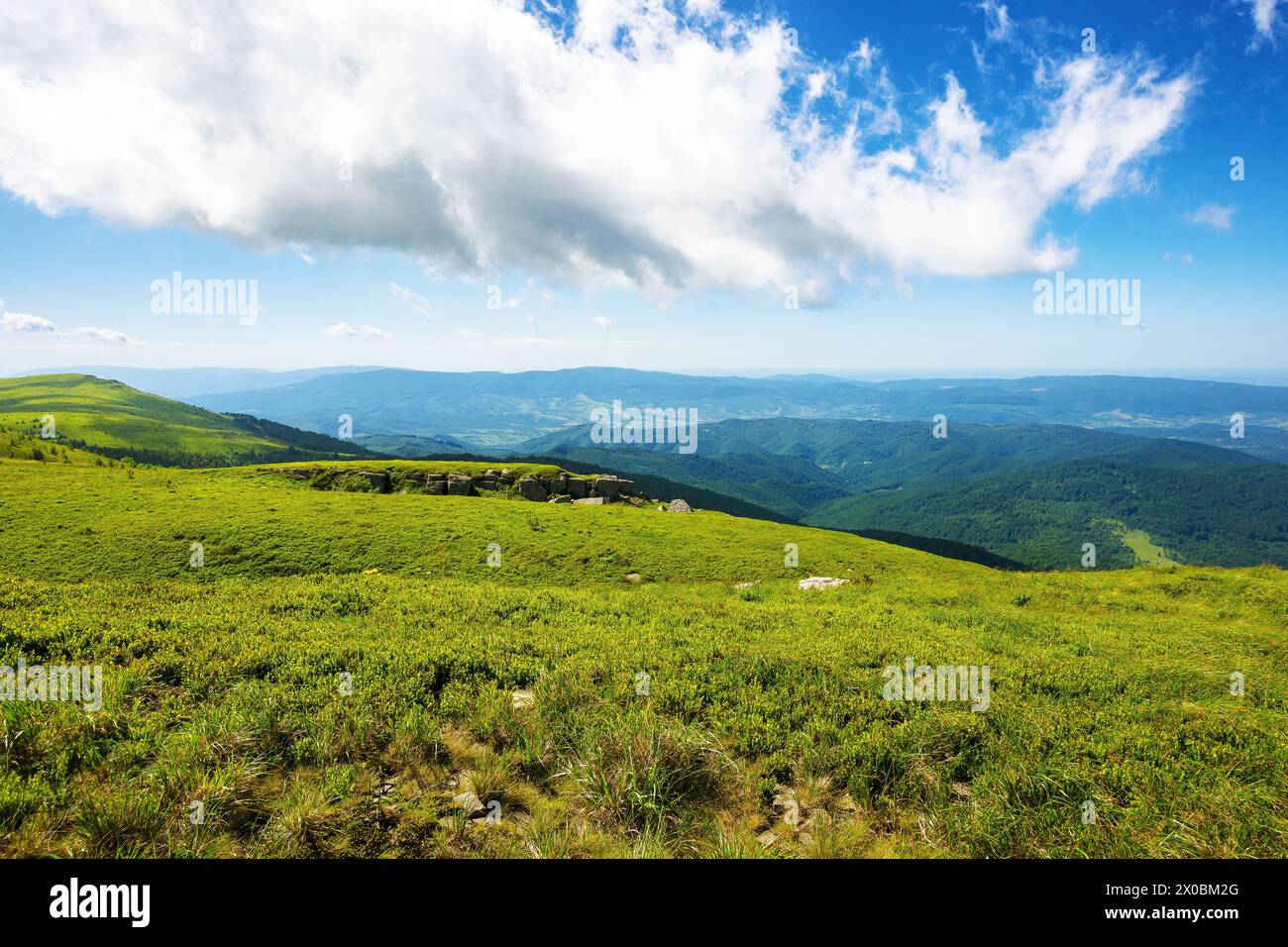 alpenwiesen der karpaten. Landschaft mit grünem Gras unter blauem Himmel mit Wolken. Sommerferien in den ukrainischen Bergen Stockfoto