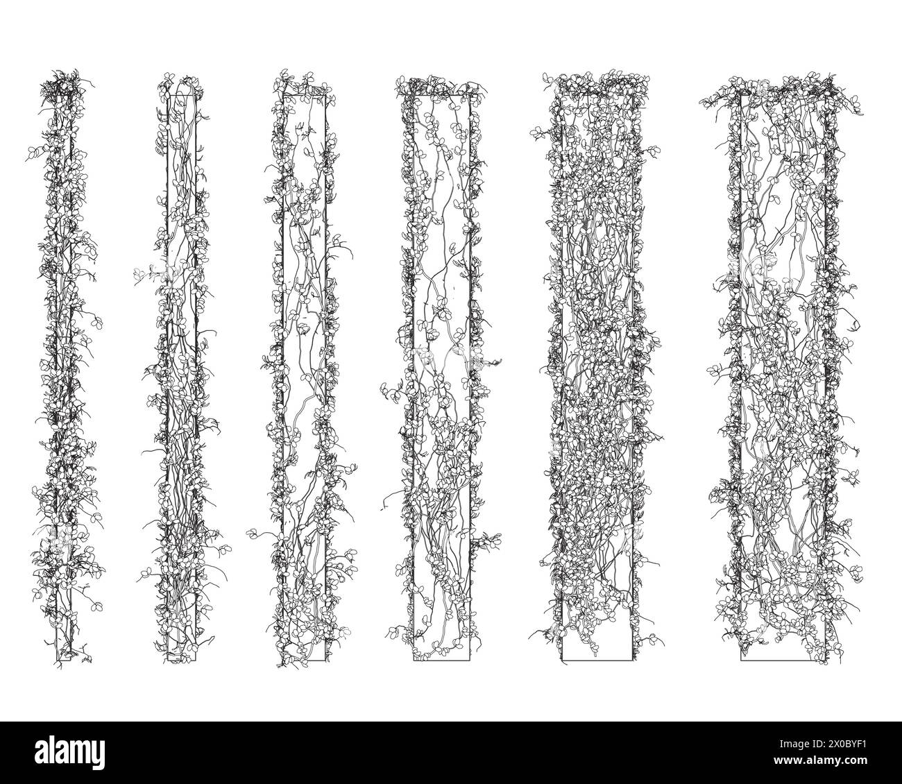 Kontur von Säulen, die mit Pflanzen verschlungen sind, mit Blättern aus schwarzen Linien, die auf weißem Hintergrund isoliert sind. 3D. Vektorabbildung. Eine Gruppe von Spalten von d Stock Vektor