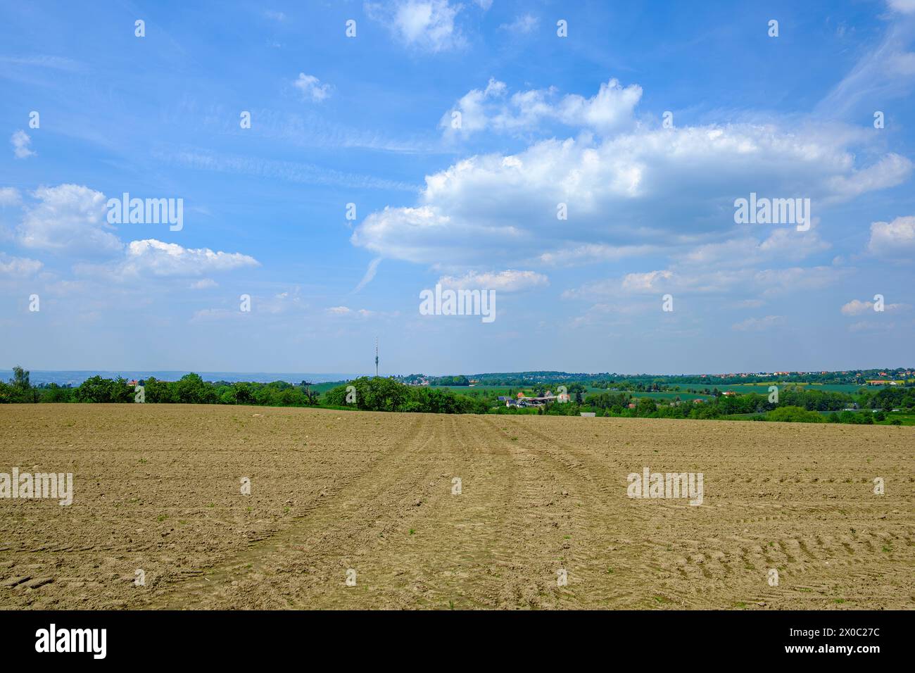 Unbebaute Felder im Schönfelder Hochland bei Dresden, Sachsen, mit dem Dresdner Fernsehturm im Hintergrund. Stockfoto