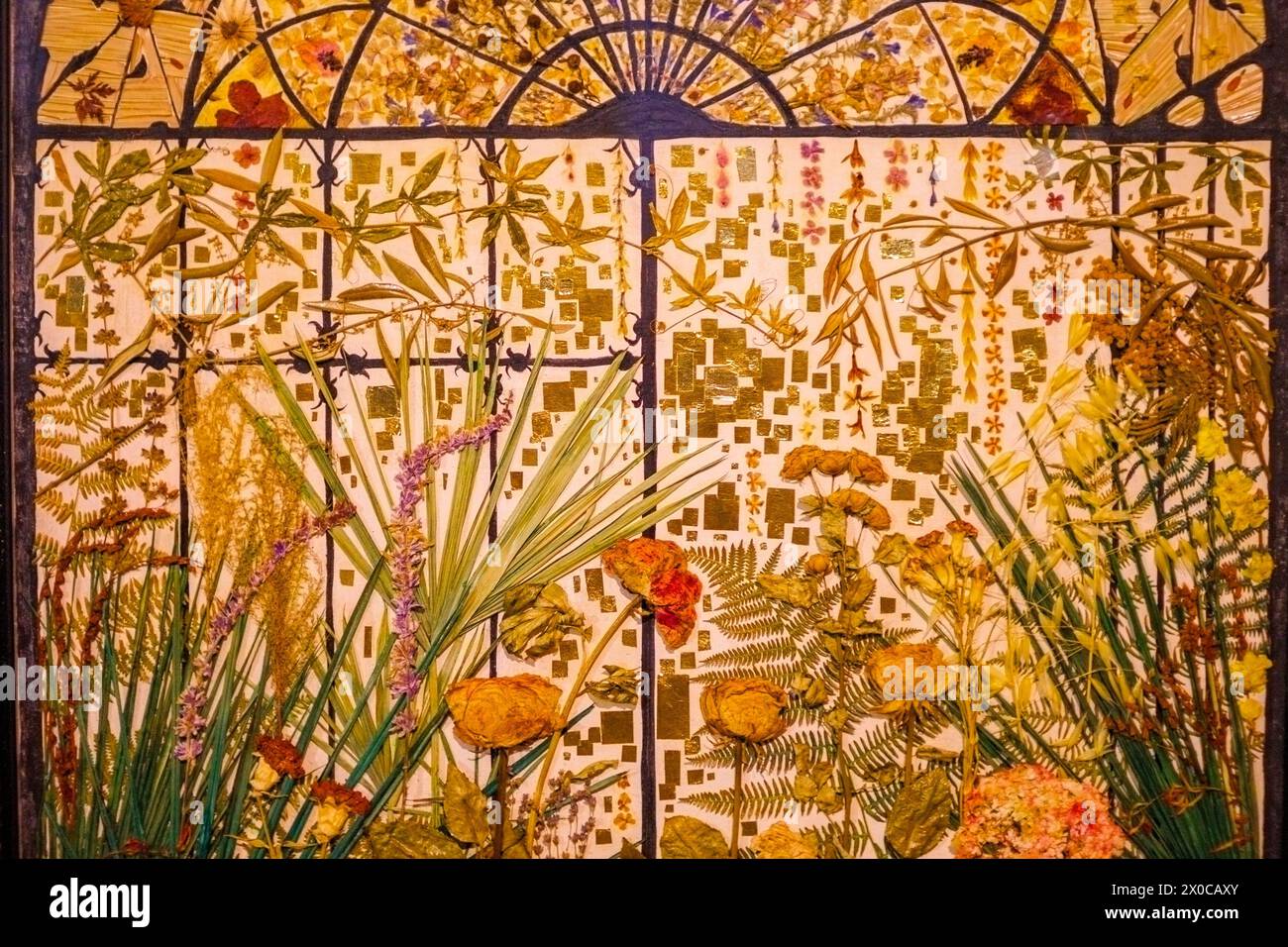 Gepresste Trockenblume in der Kirche Notre-Dame-du-Puy, Grasse, Alpes-Maritimes, Provence-Alpes-Côte d'Azur, Frankreich Stockfoto
