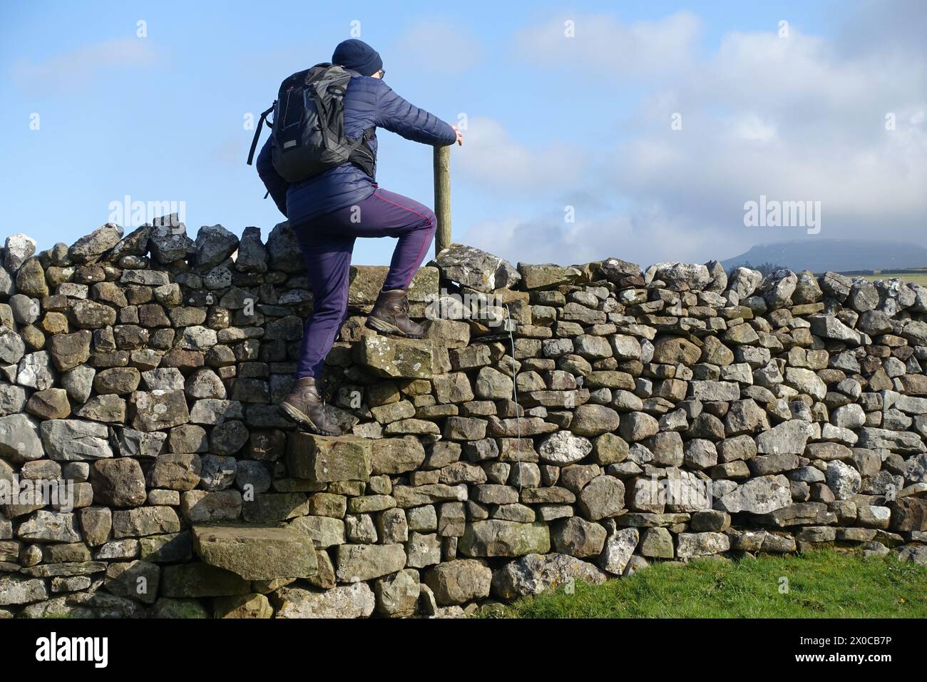 Man (Wanderer) klettert auf Stone Steps on a Stile in Dry Stone Wall bei Slatenber bei Ingleton, im Yorkshire Dales National Park, England, Großbritannien. Stockfoto