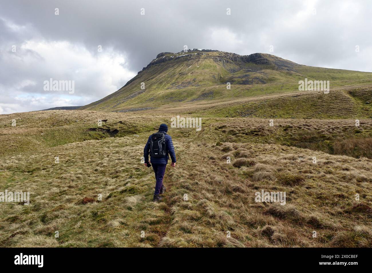 Man (Wanderer) geht auf dem Tatham Wife Moss zu den Black Shiver Crags am Ingleborough Mountain im Yorkshire Dales National Park, England, Großbritannien. Stockfoto