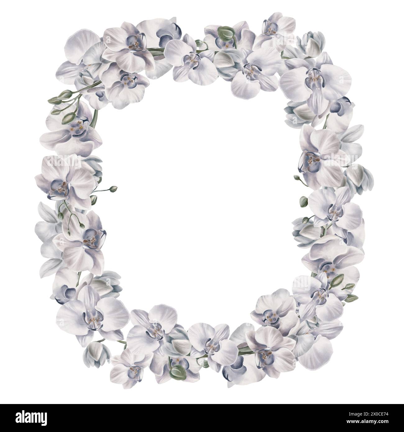 Weiße Orchideenblüten in einem rechteckigen Rahmen zur Dekoration Ihrer druckbaren Motive. Tropische Pflanzen. Aquarellabbildung. Für Einladungen Stockfoto