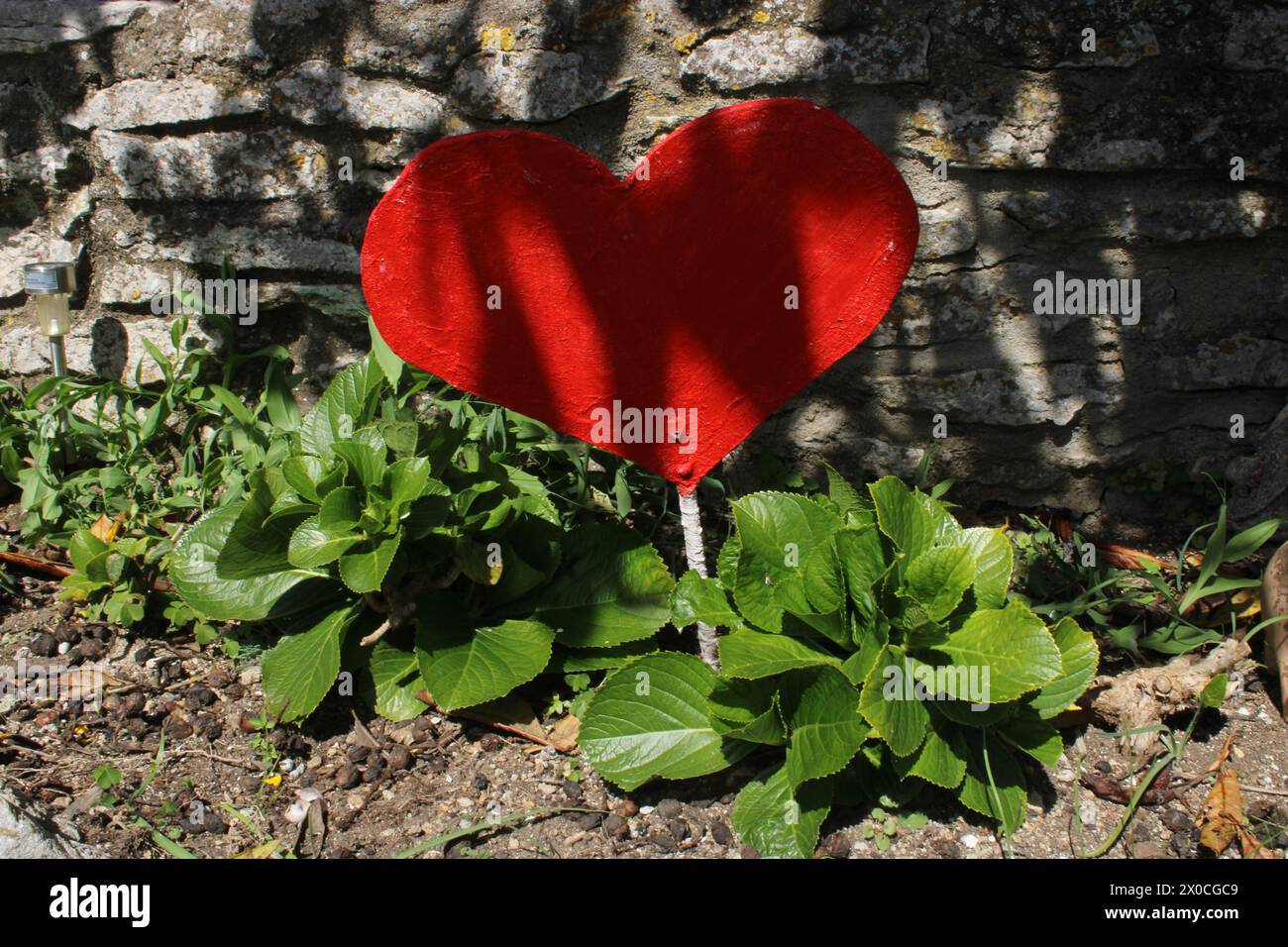 Pferde mit viel Liebe Stockfoto