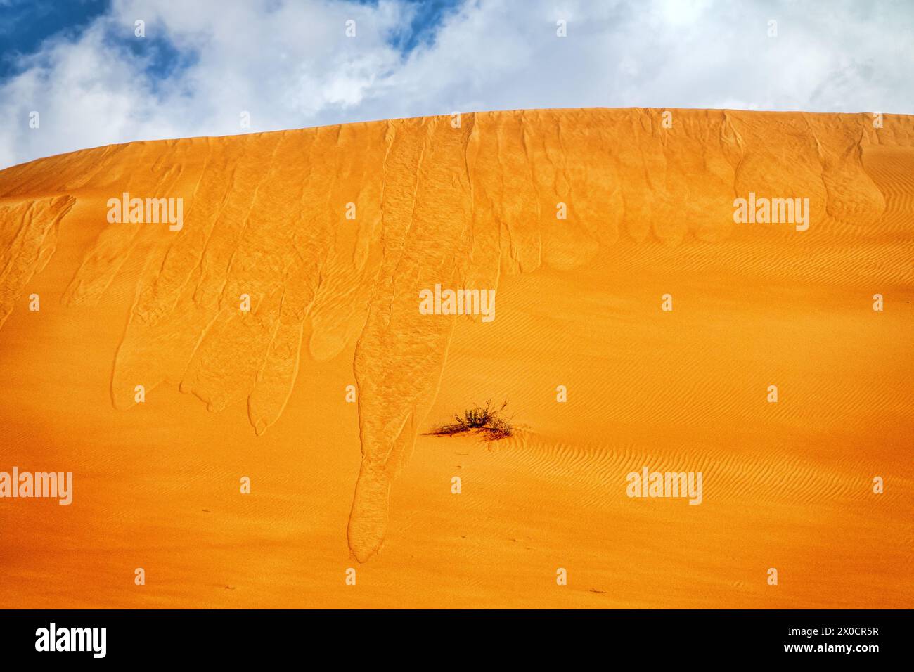 Sandfall. Sanderdrutsch vom Kamm einer roten Düne (Eisenoxid) infolge erhöhter Belastung (aber nicht des Windes). Barkhan in der Arabischen Wüste. Stockfoto