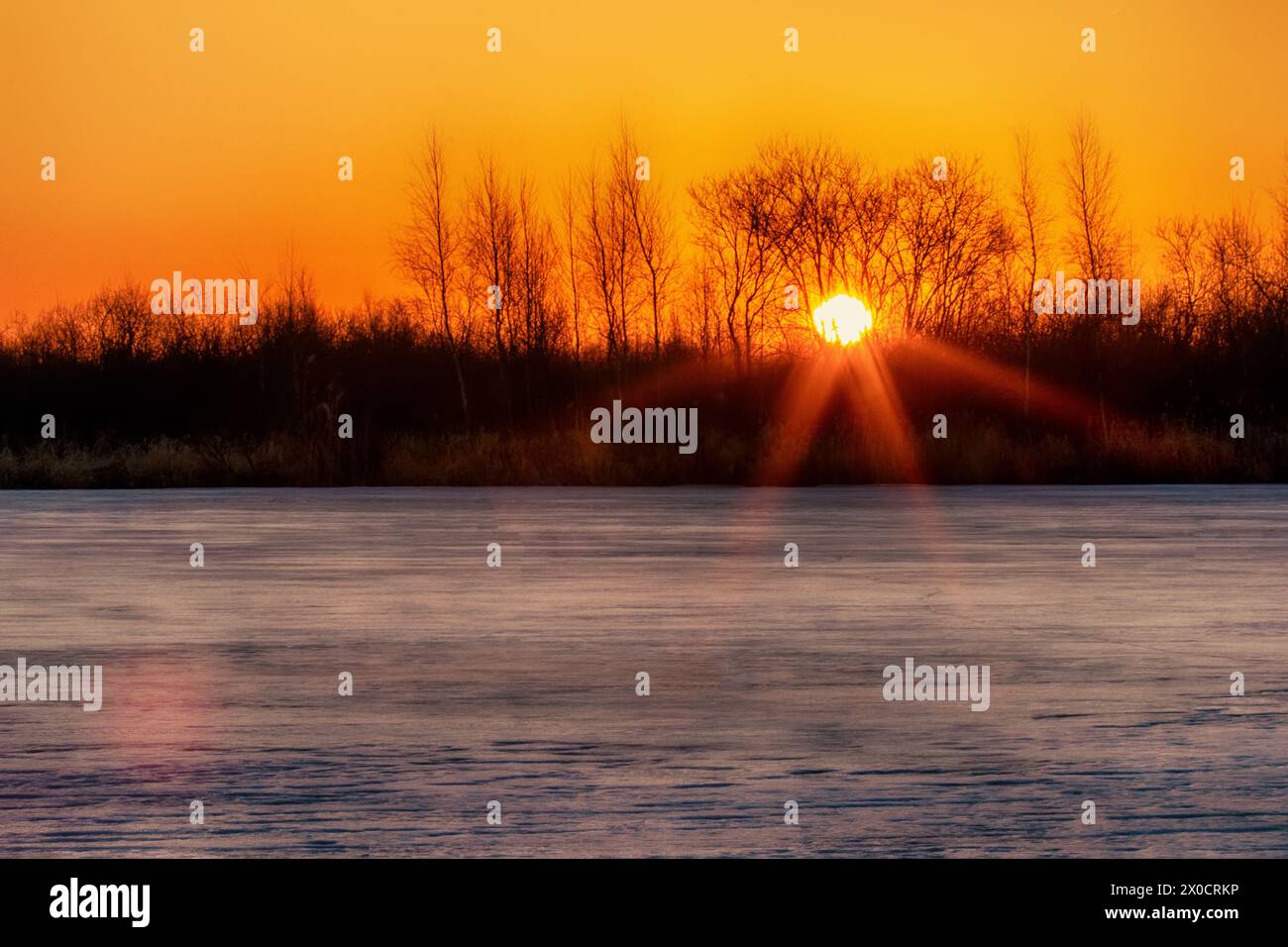 Frühlingslandschaft. Sonnenaufgang der Sonnenscheibe über dem nördlichen Eisfluss, auf den unbedeckten Winterwasserwäldern. Nordosten Europas Stockfoto
