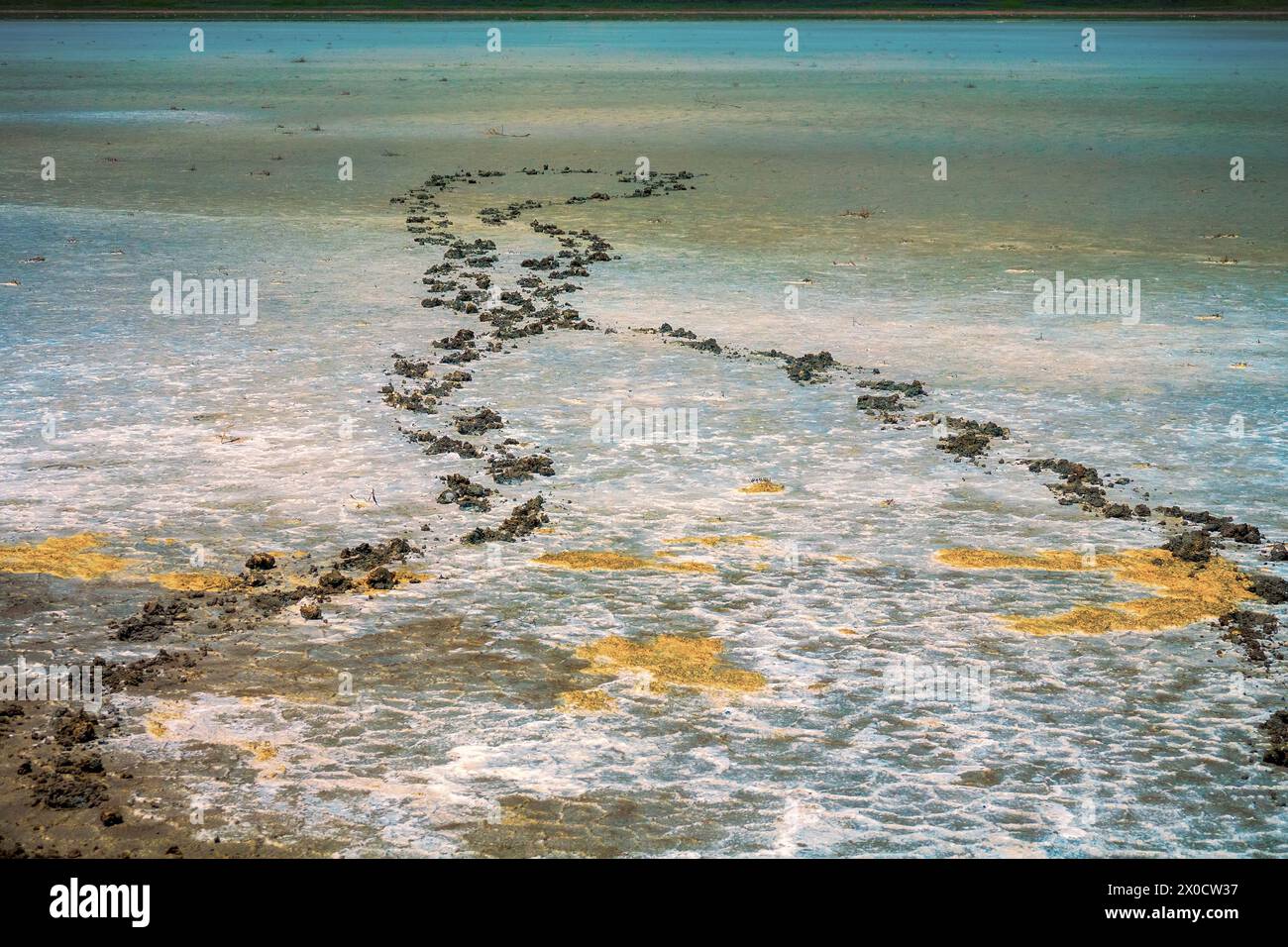 Ausgetrocknete Seebecken (Trockensee). Semi-Wüste Salzwiesen. Dürre und die Spur der Kuh, die nicht ans Wasser kam Stockfoto