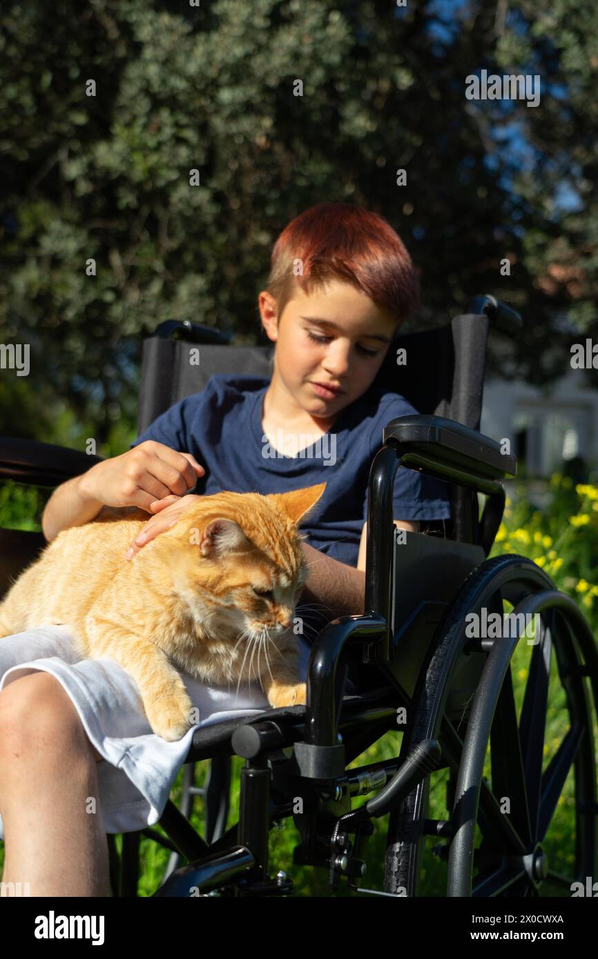 Körperlich behinderter Junge im Rollstuhl mit seiner Katze draußen Stockfoto