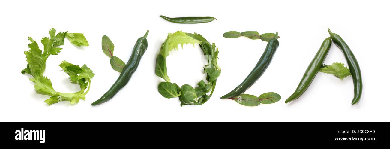 Buchstabenwort G Y ō Z A aus grünem Chili-Pfeffer, Sellerie, Salatbuchstaben Gyoza-Text O ō macron, qyozas-Poster, gyōza, gyōzas, Menükarte für vegane GYŌZA Stockfoto