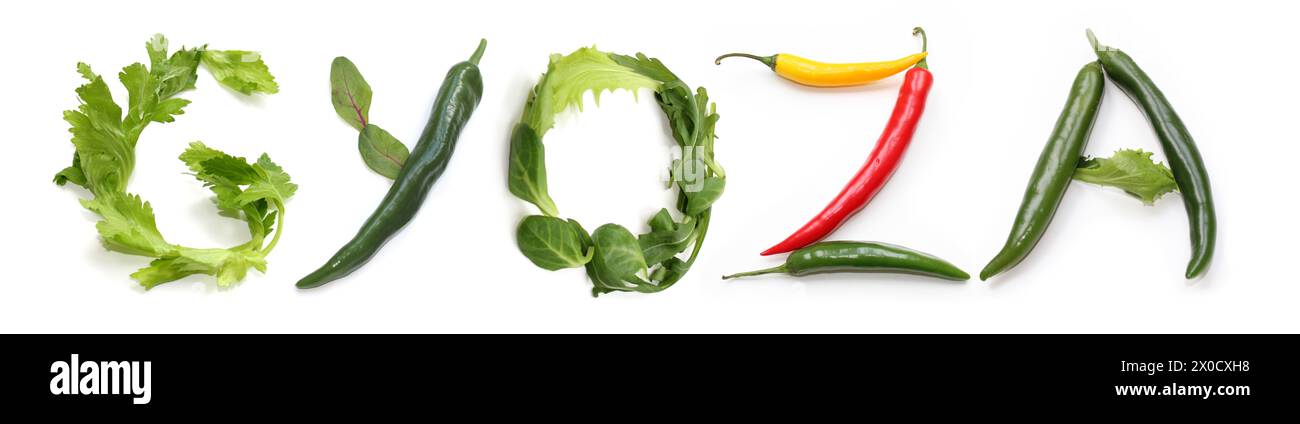 Buchstabenwort GYOZA aus grünem Gelb, roter Chili-Pfeffer, Selleriestab, Salatblätter, Textwörter, Poster, Bannerschild, Menükarte für veganen Gyoza Stockfoto