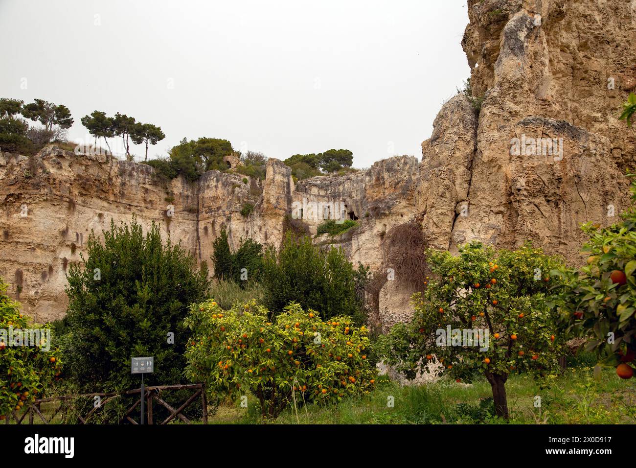 Im archäologischen Park von Siracusa sind die Kalksteinbrüche zu einem tropischen Garten mit Obstbäumen und Kunst geworden Stockfoto