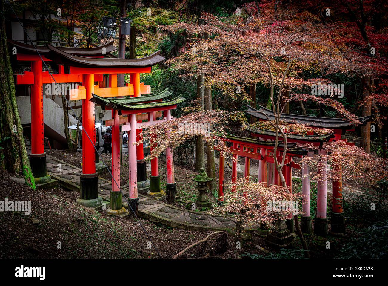 Torii-Tore säumen einen ruhigen Pfad am fushimi inari-Schrein in kyoto Stockfoto