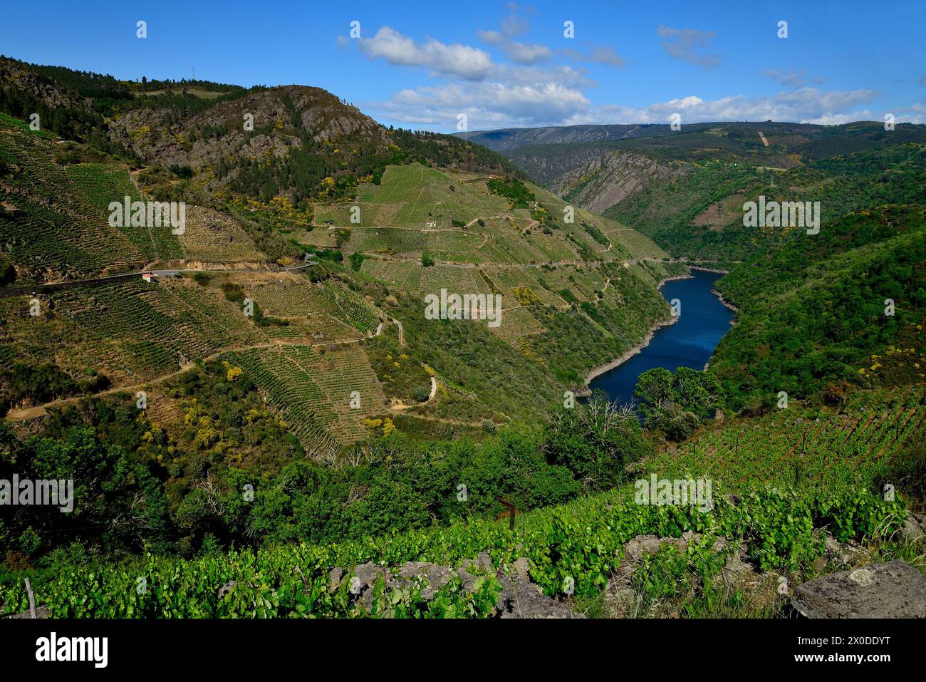 SIL-Fluss von Aba Sacra, nüchtern, Lugo, Spanien Stockfoto