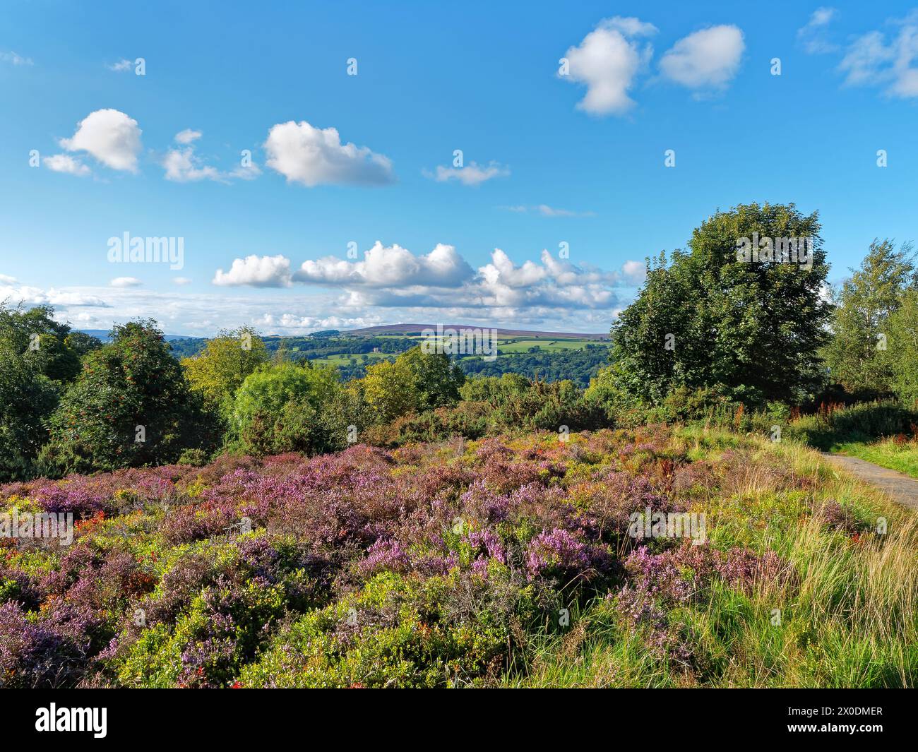 Großbritannien, West Yorkshire, Ilkley, Ilkley Moor mit Blick nach Norden. Stockfoto