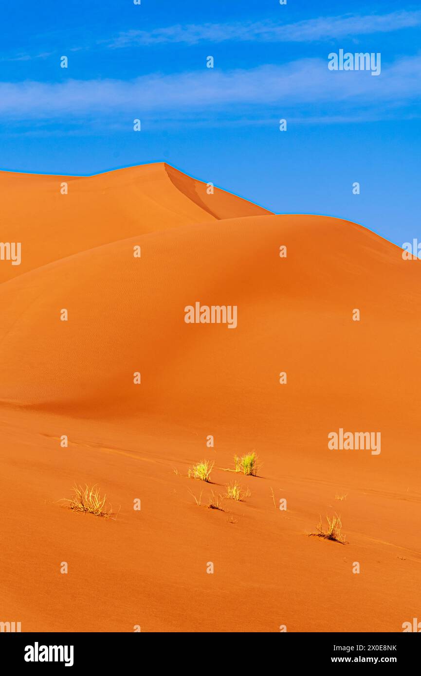 ERG Chebbi Sanddünen, Sahara-Wüste, Marokko: Sanddünen an einem sonnigen Tag in der Nähe von Merzouga an sonnigen Tagen Stockfoto
