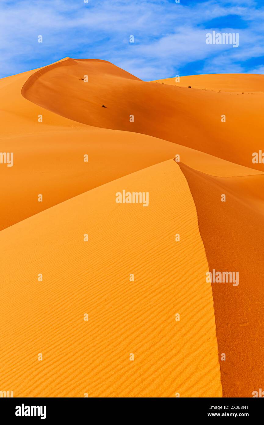 ERG Chebbi Sanddünen, Sahara-Wüste, Marokko: Sanddünen an einem sonnigen Tag in der Nähe von Merzouga an sonnigen Tagen Stockfoto