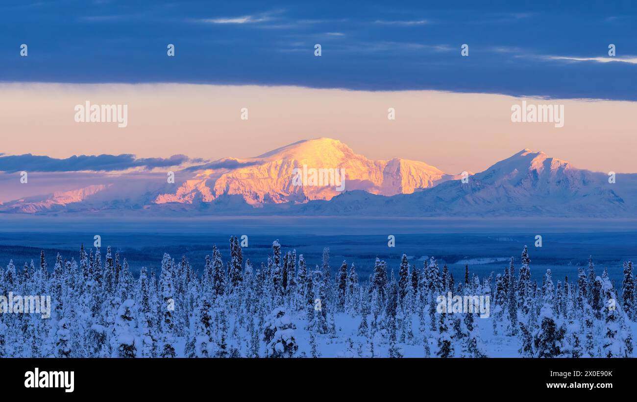 Panorama von alpenglow auf Mounts Drum und Sanford in Wrangell-St. Elias-Nationalpark in Alaska. Stockfoto