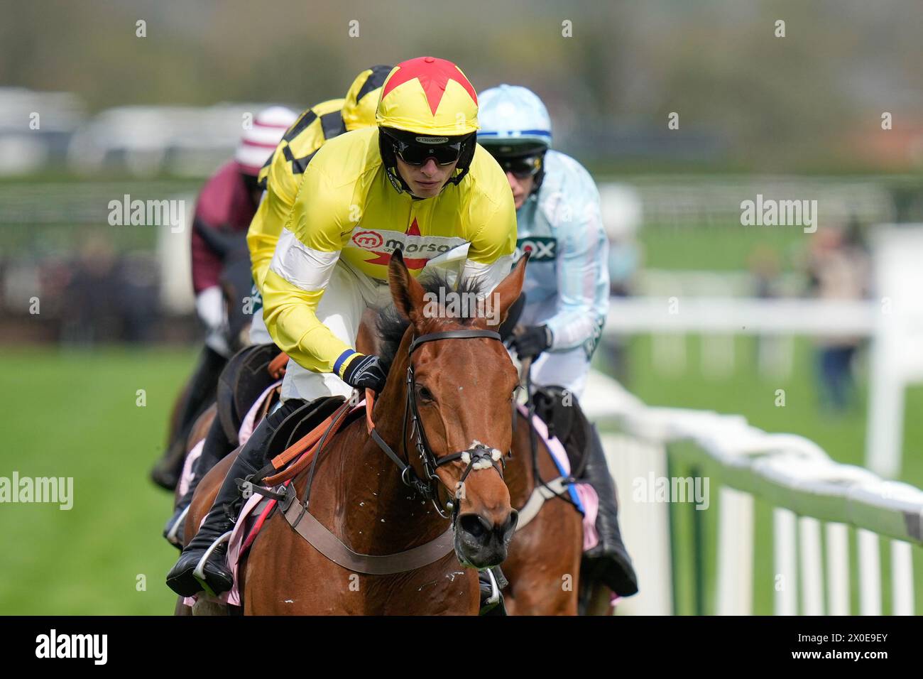 11. April 2024; Aintree Racecourse, Aintree, Merseyside, England: 2024 Grand National Festival Day 1; Kalif du Berlais, geritten von Harry Cobden während des Boodles Anniversary 4 Jahre Jugendhürde Stockfoto