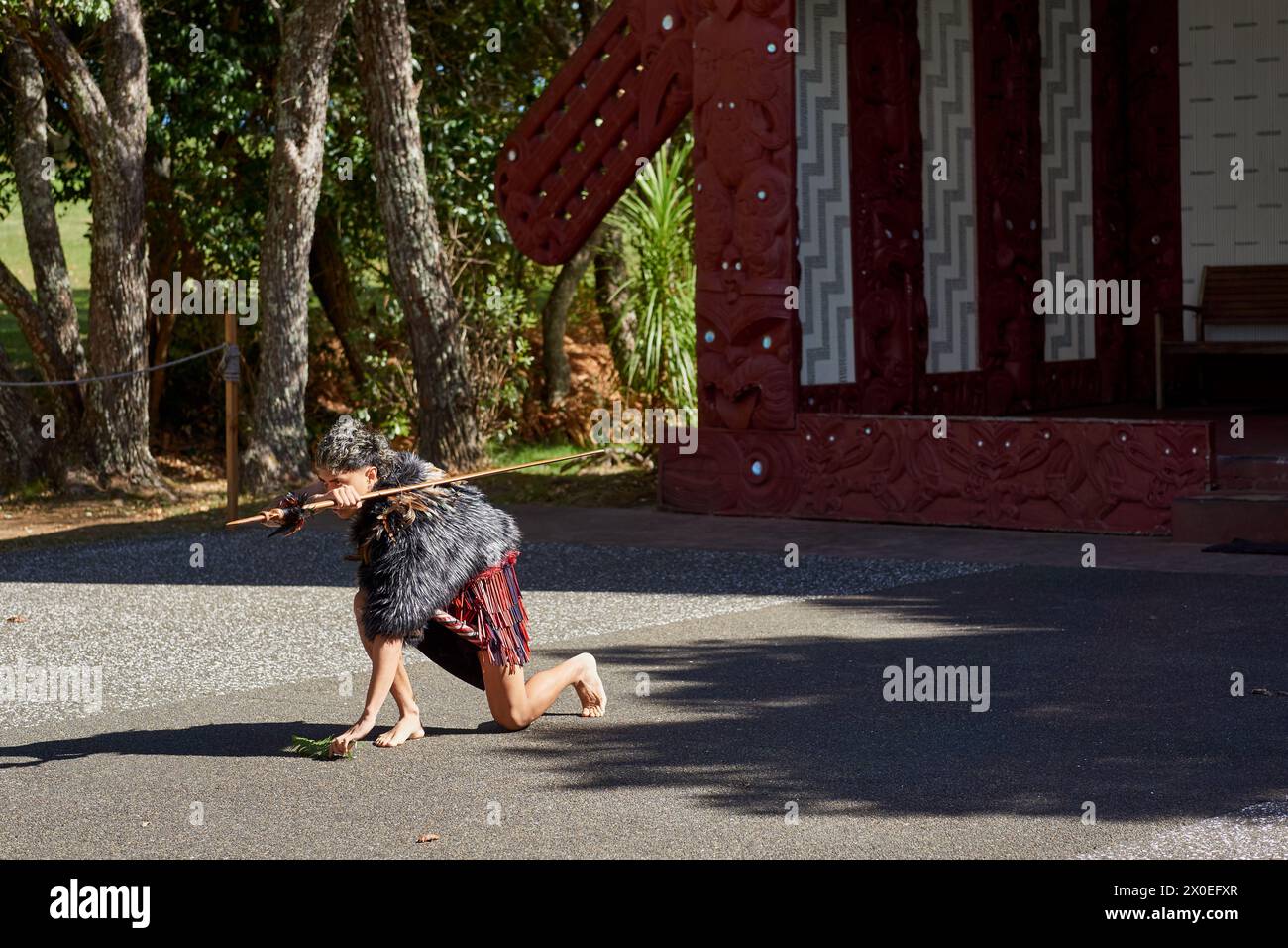 Krieger, der eine Maori-Willkommenszeremonie oder Powhiri vor dem Waitangi Marae-Versammlungshaus vorführt Stockfoto